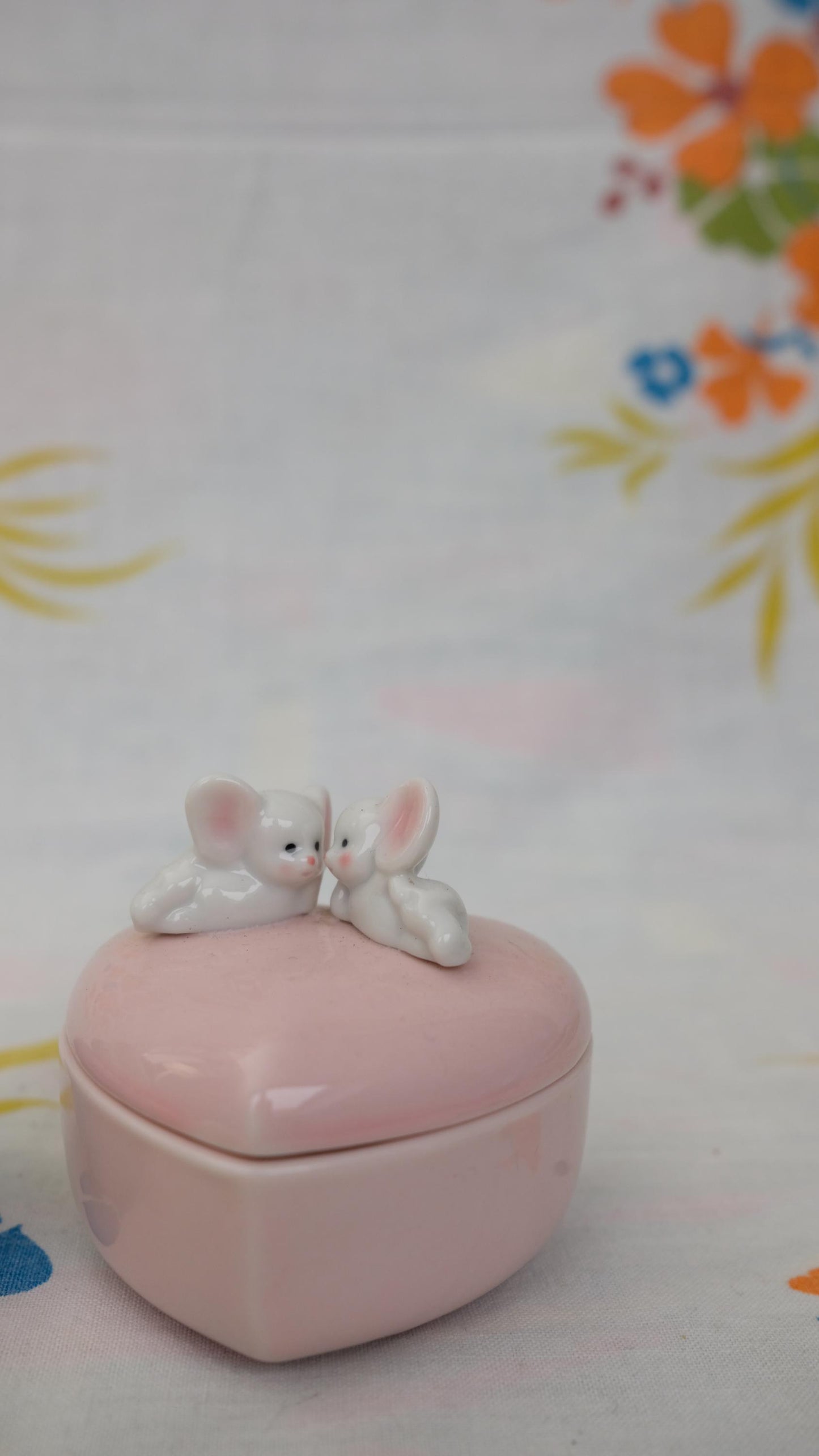 Boites à dents de lait en porcelaine