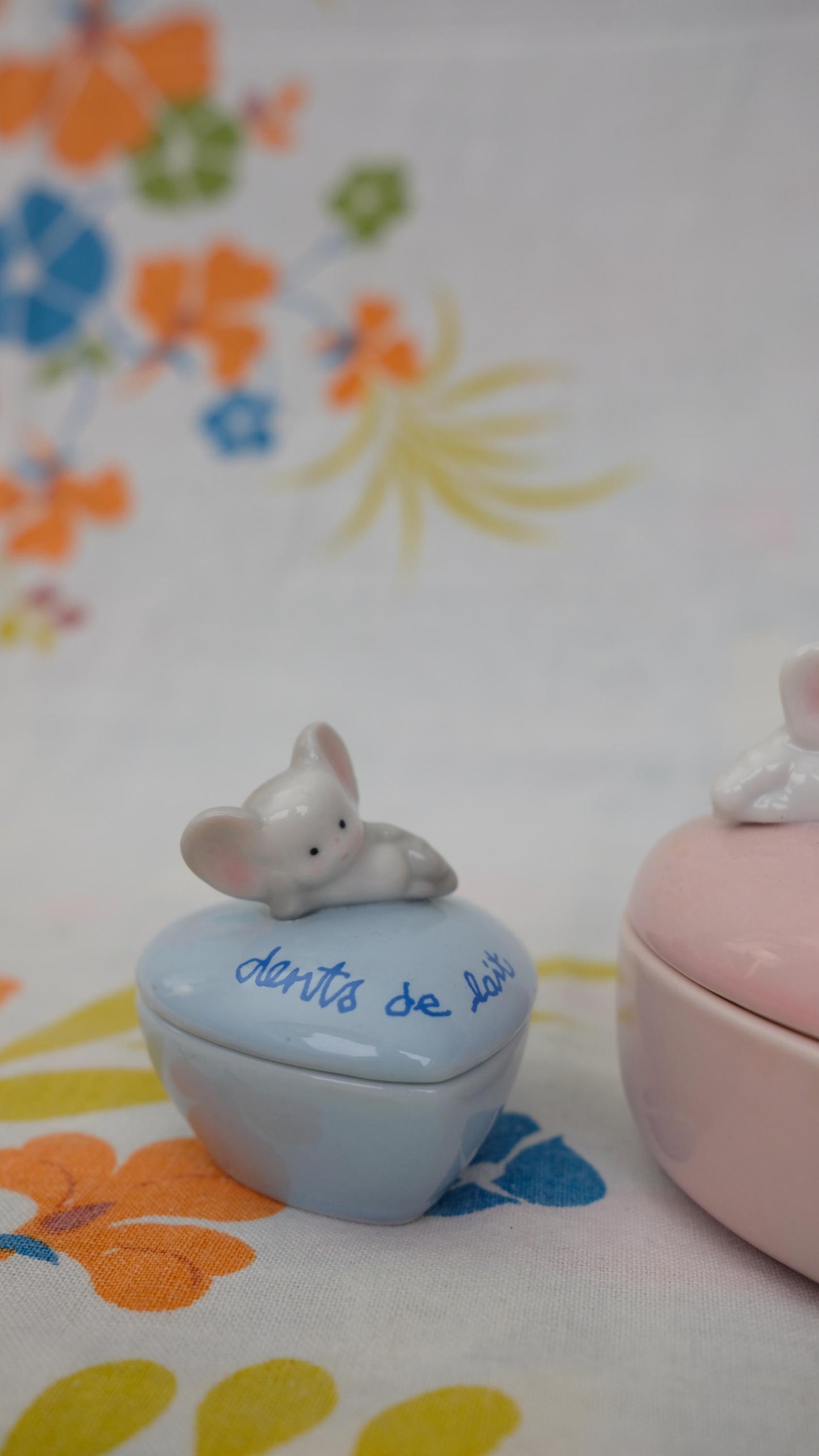 Boites à dents de lait en porcelaine