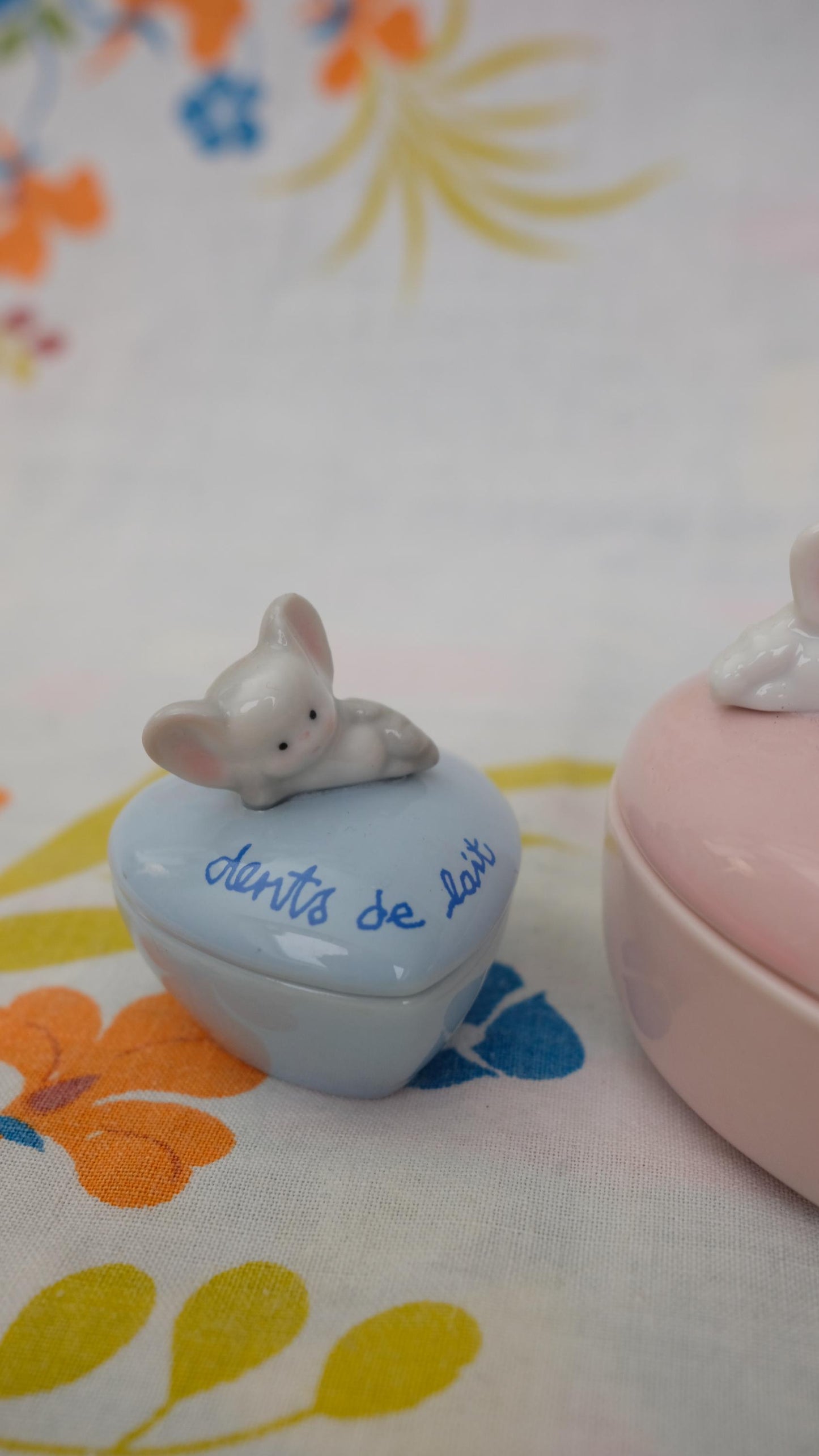 Boites à dents de lait en porcelaine