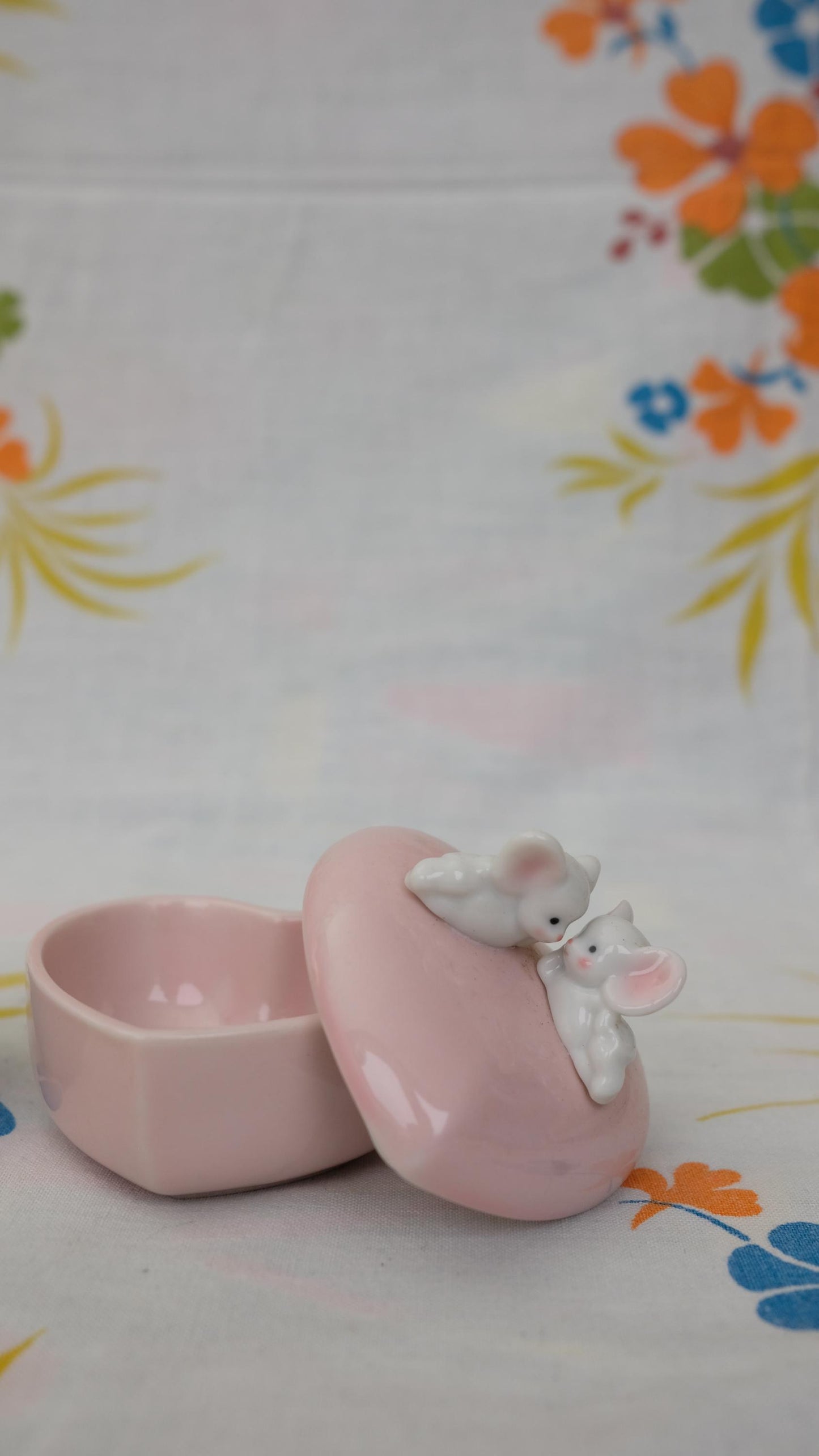 Boites à dents de lait en porcelaine