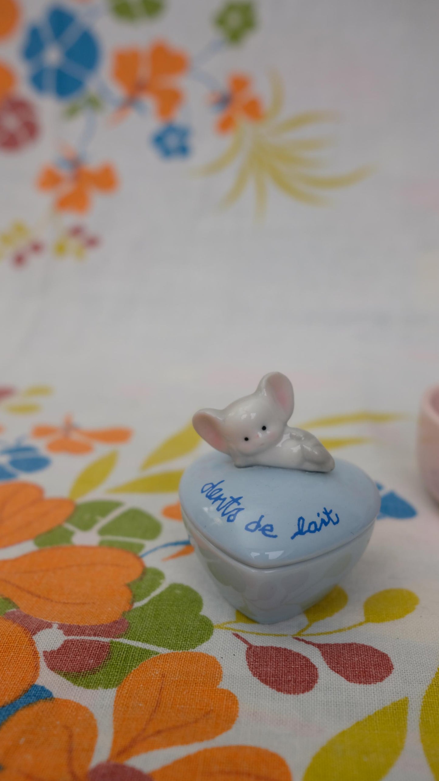 Boites à dents de lait en porcelaine