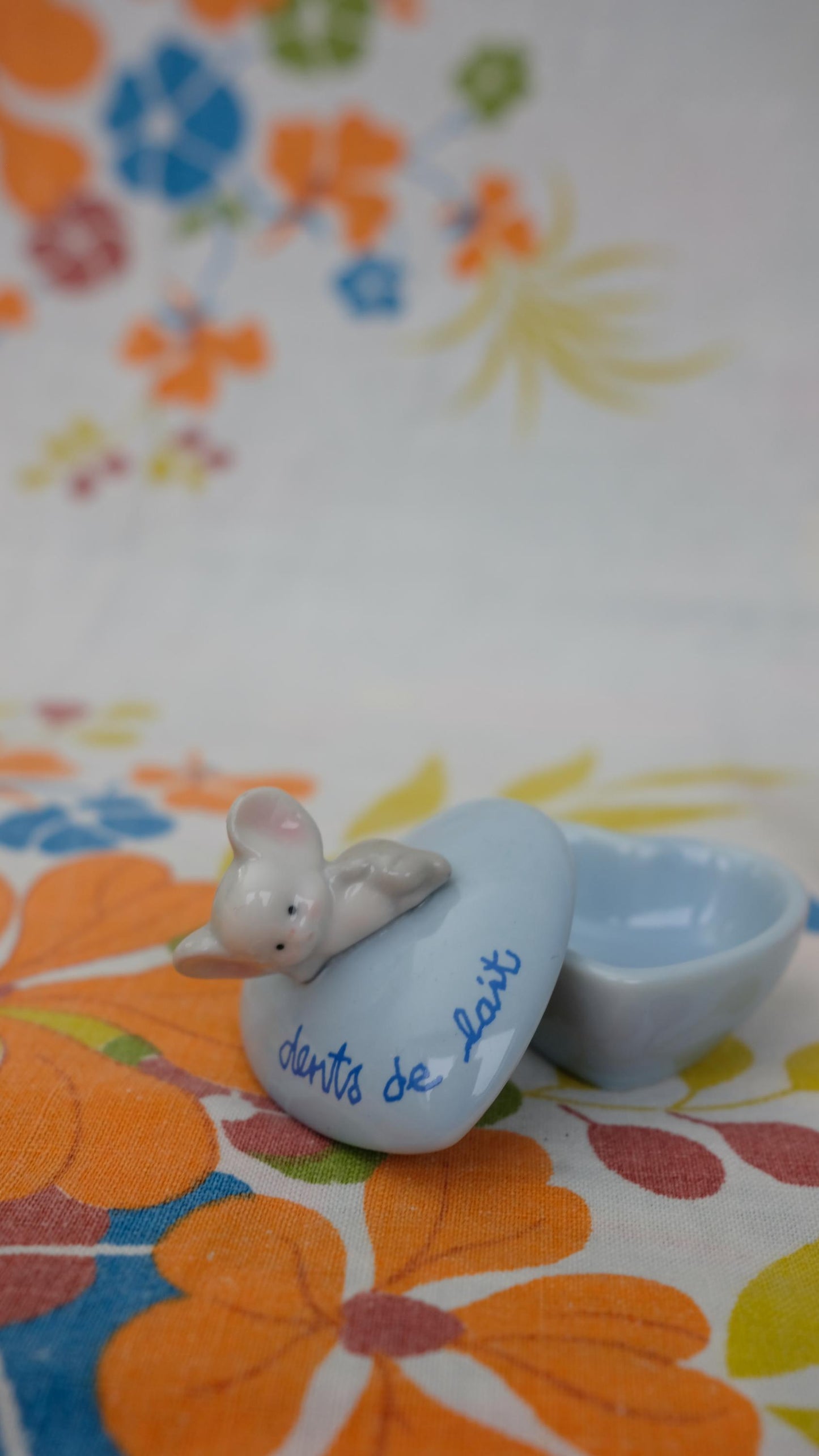 Boites à dents de lait en porcelaine
