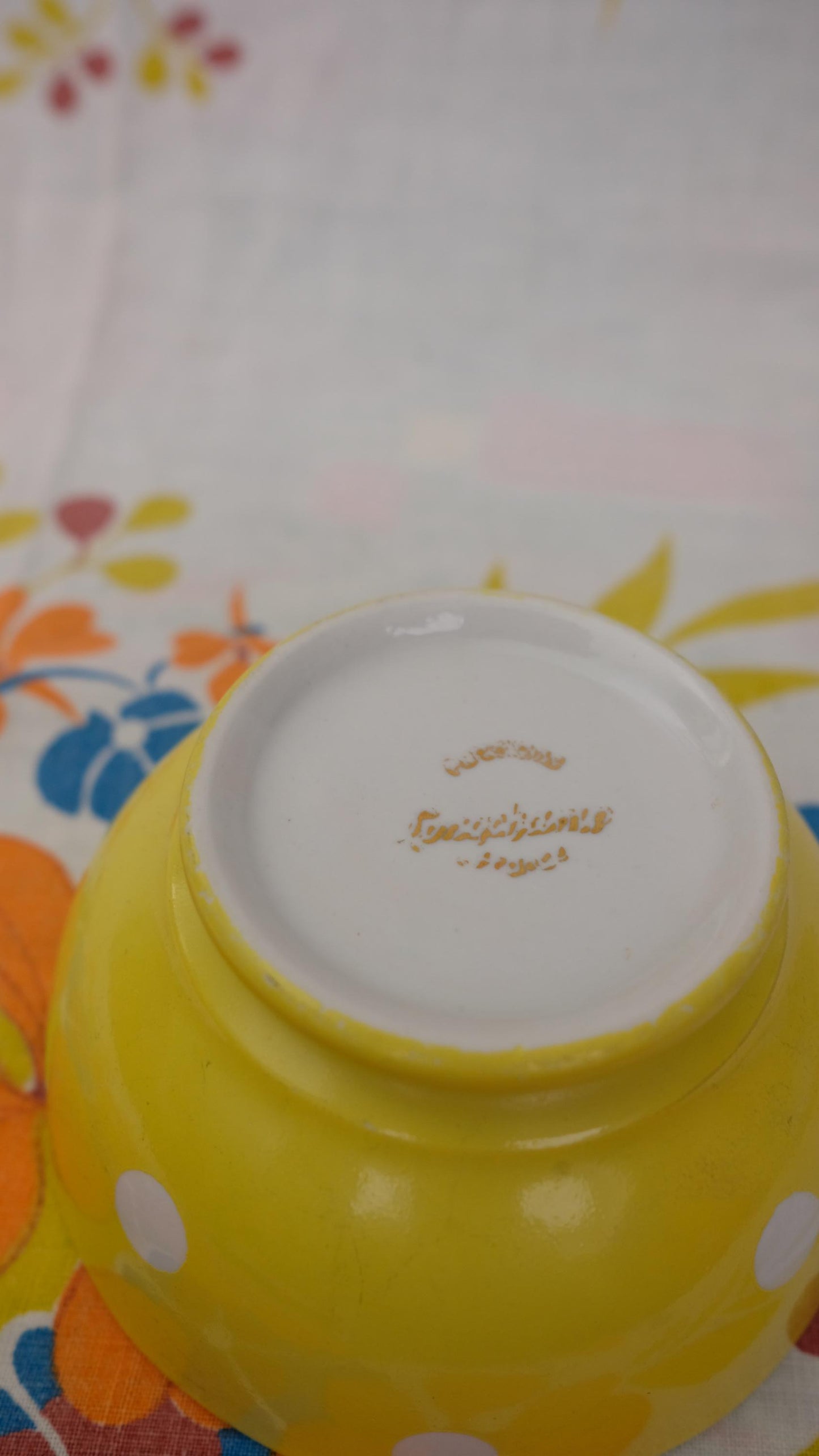 Petits bols Longchamp