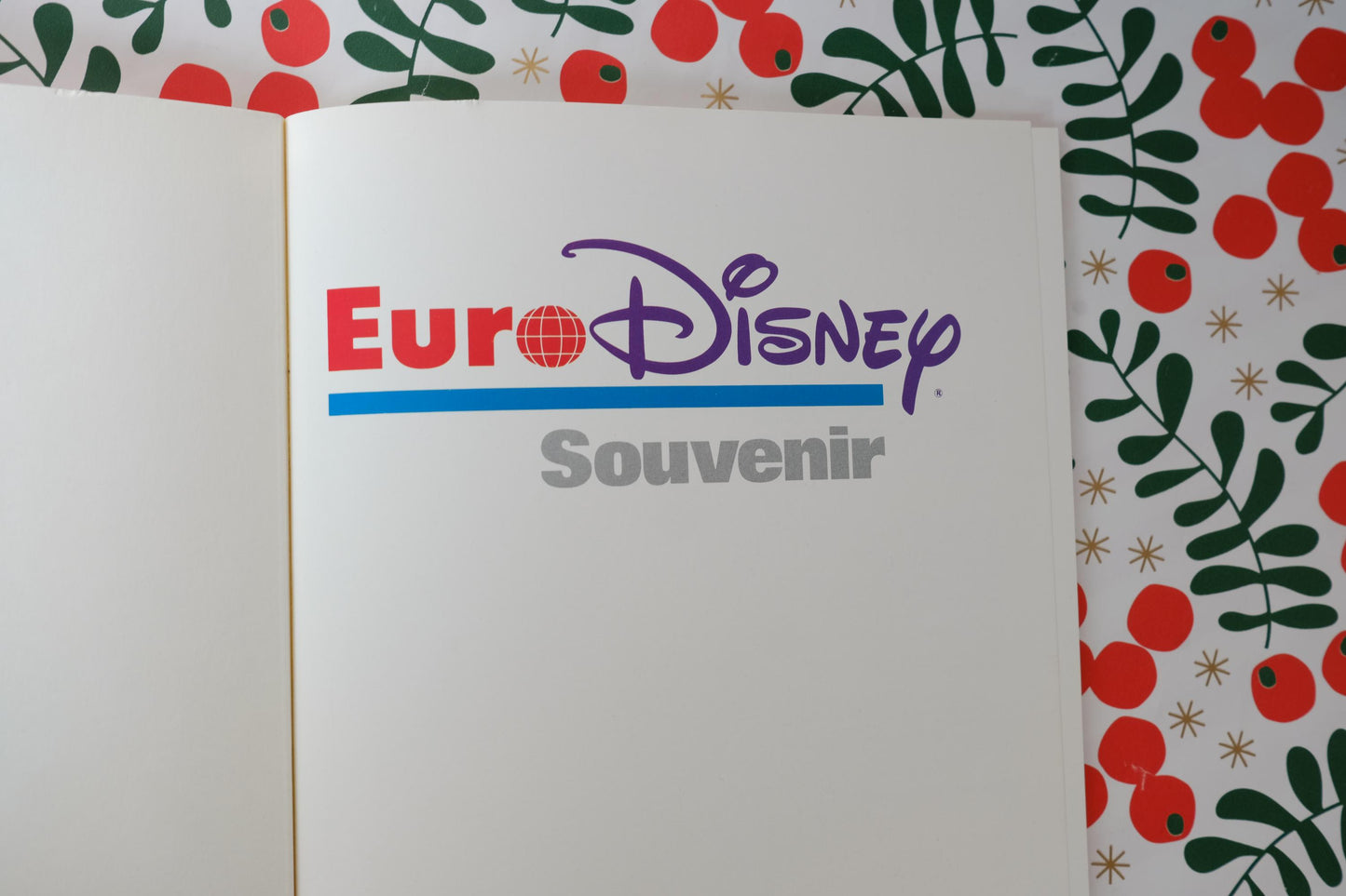 Livre souvenir eurodisney