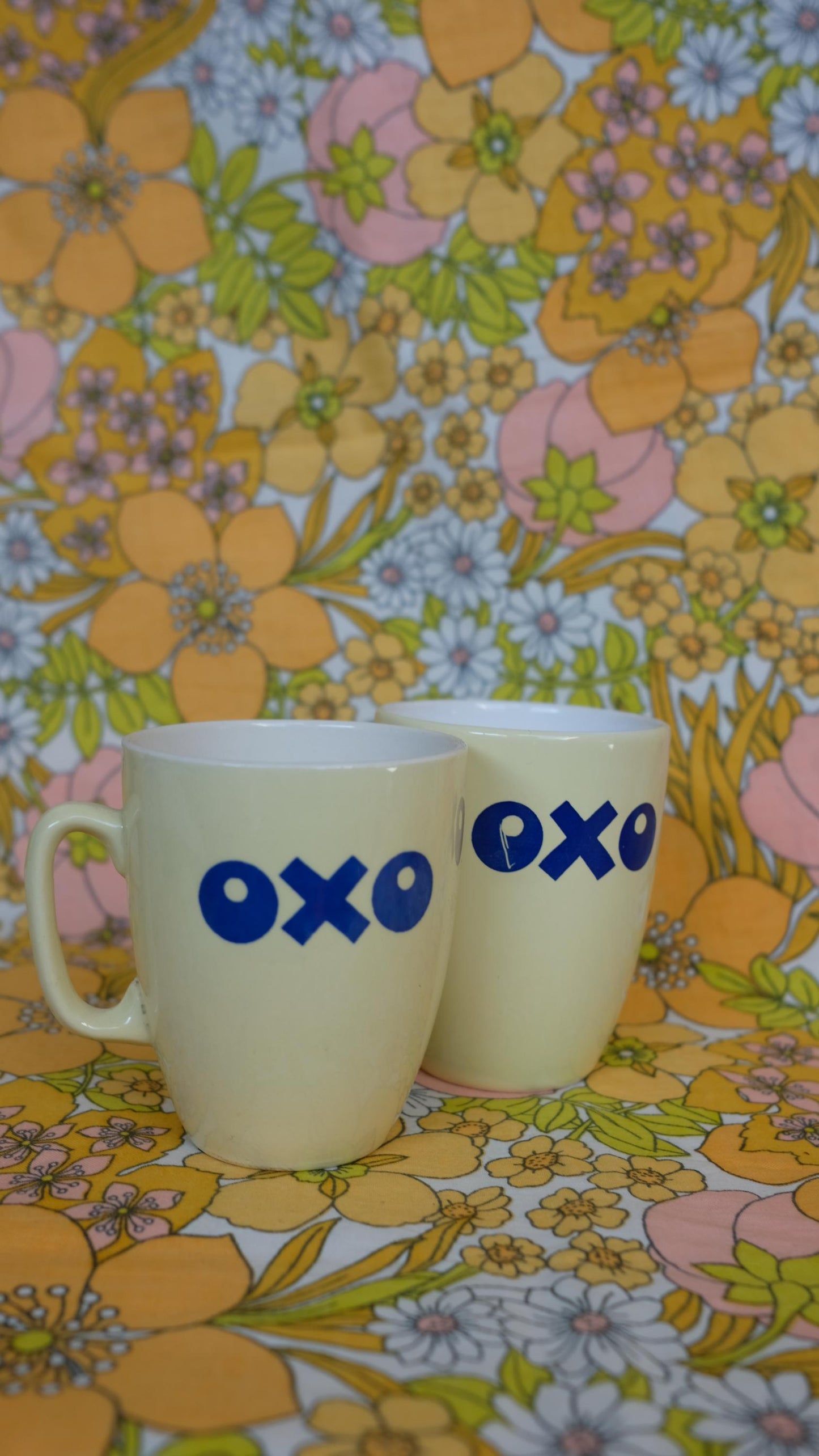 Mugs bouillon OXO