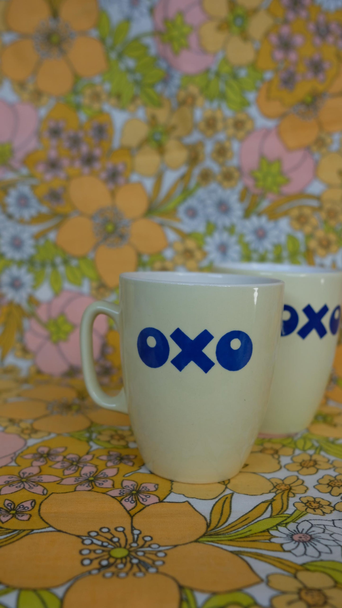 Mugs bouillon OXO