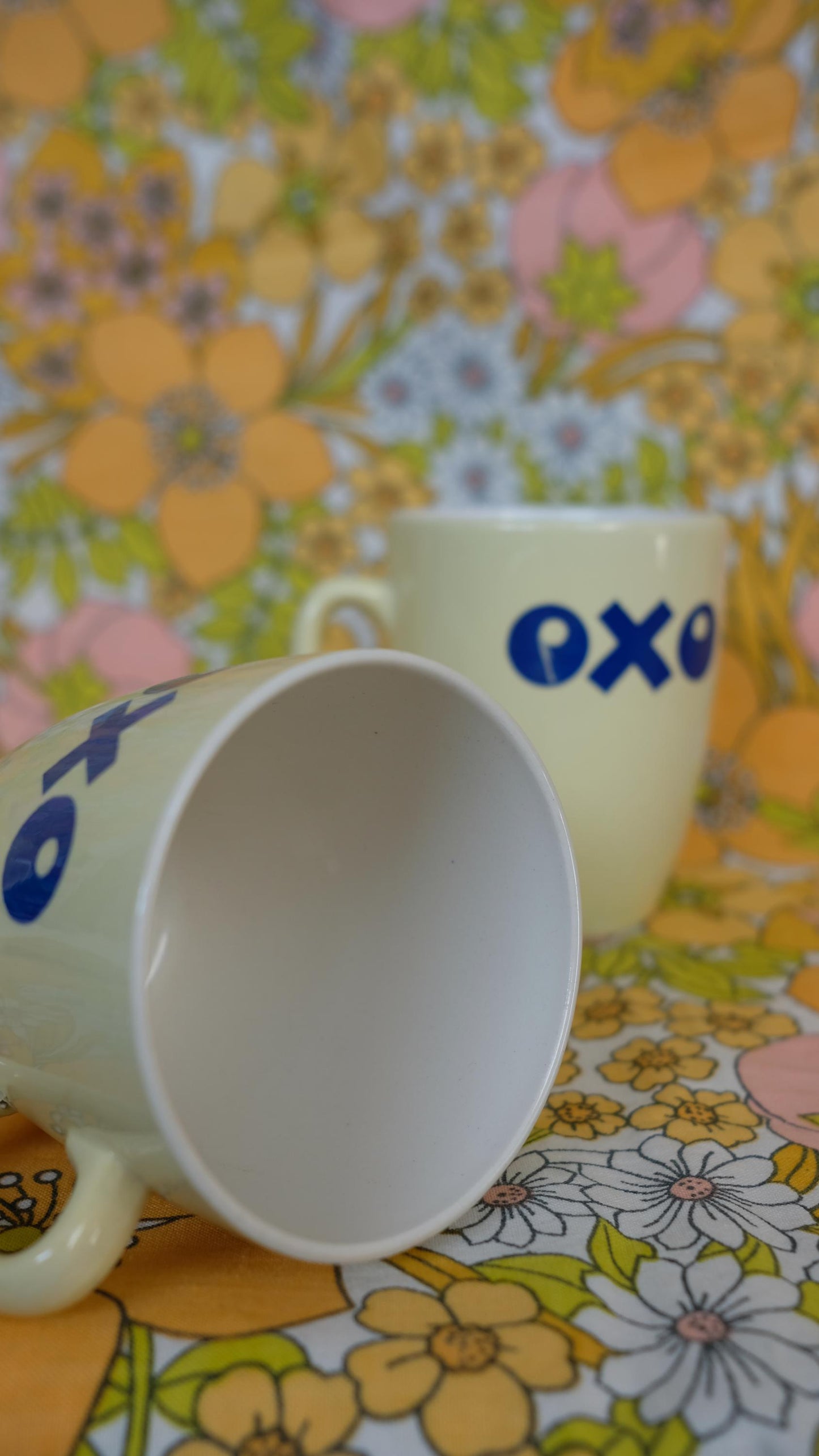 Mugs bouillon OXO