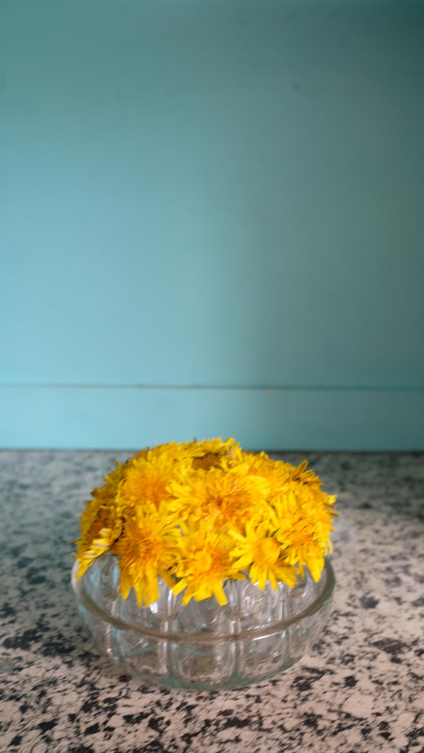 Sélection de pique fleurs