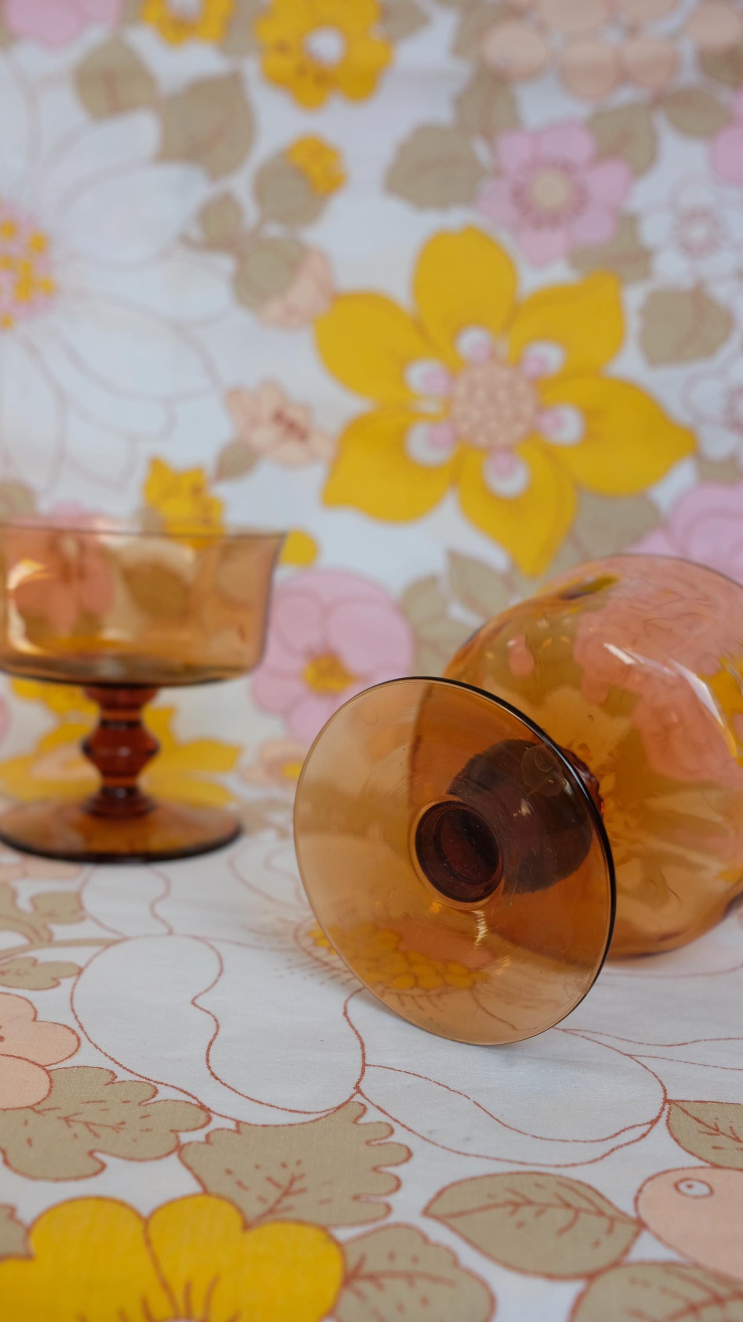 Verres à pied ambrés