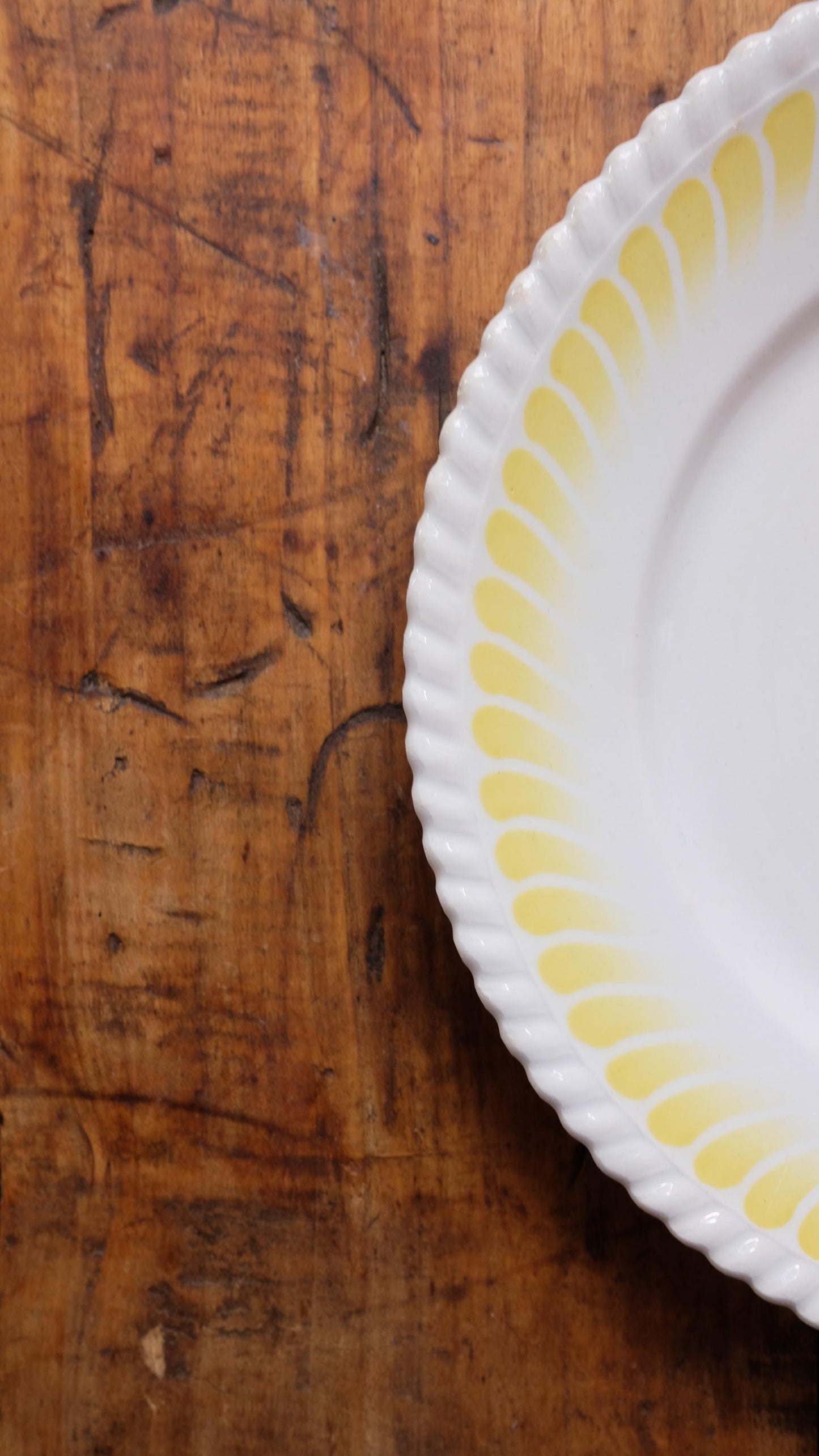 Assiettes plates à motifs fleuris