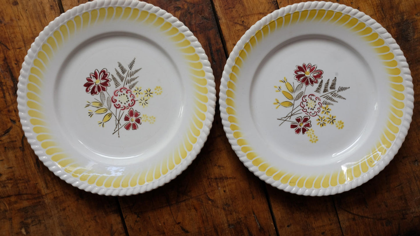Assiettes plates à motifs fleuris