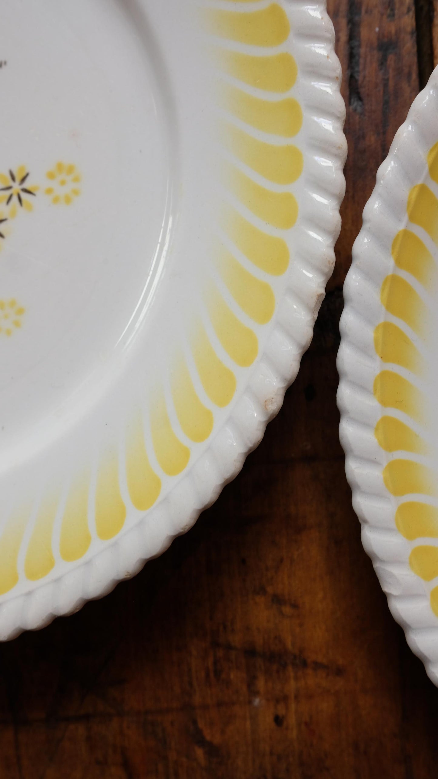 Assiettes plates à motifs fleuris