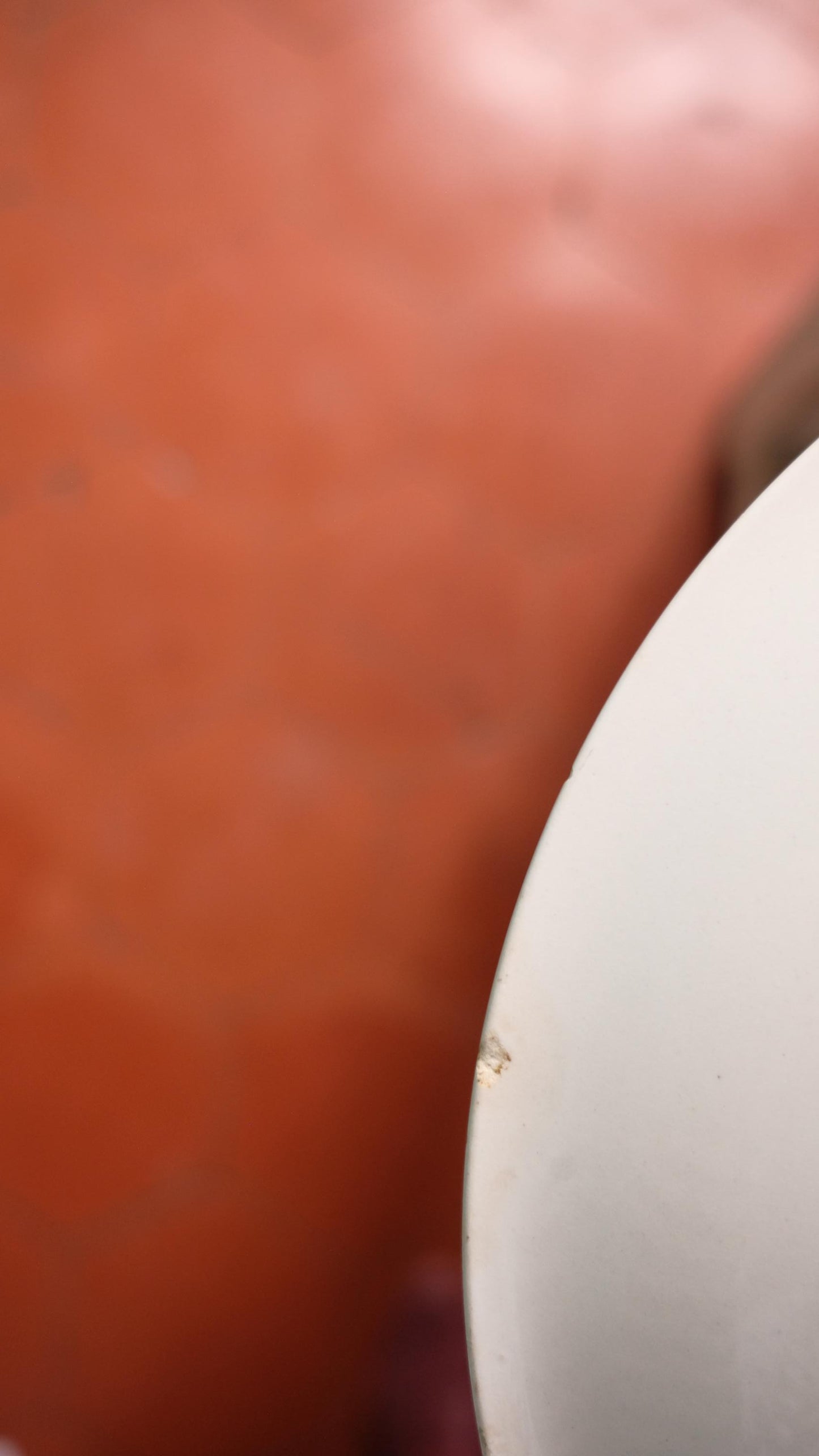 Grande assiette Gien vintage modèle Pampelune