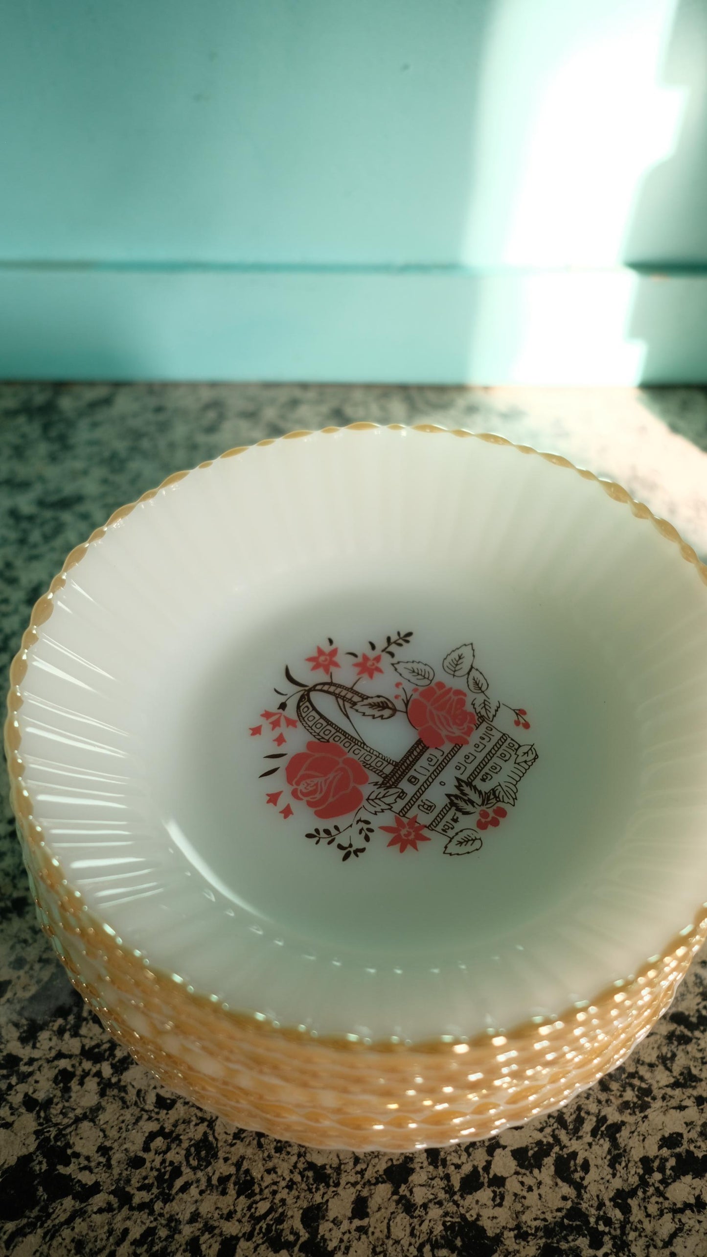 Lot de onze assiettes creuses Termocrisa made in Mexico vintage