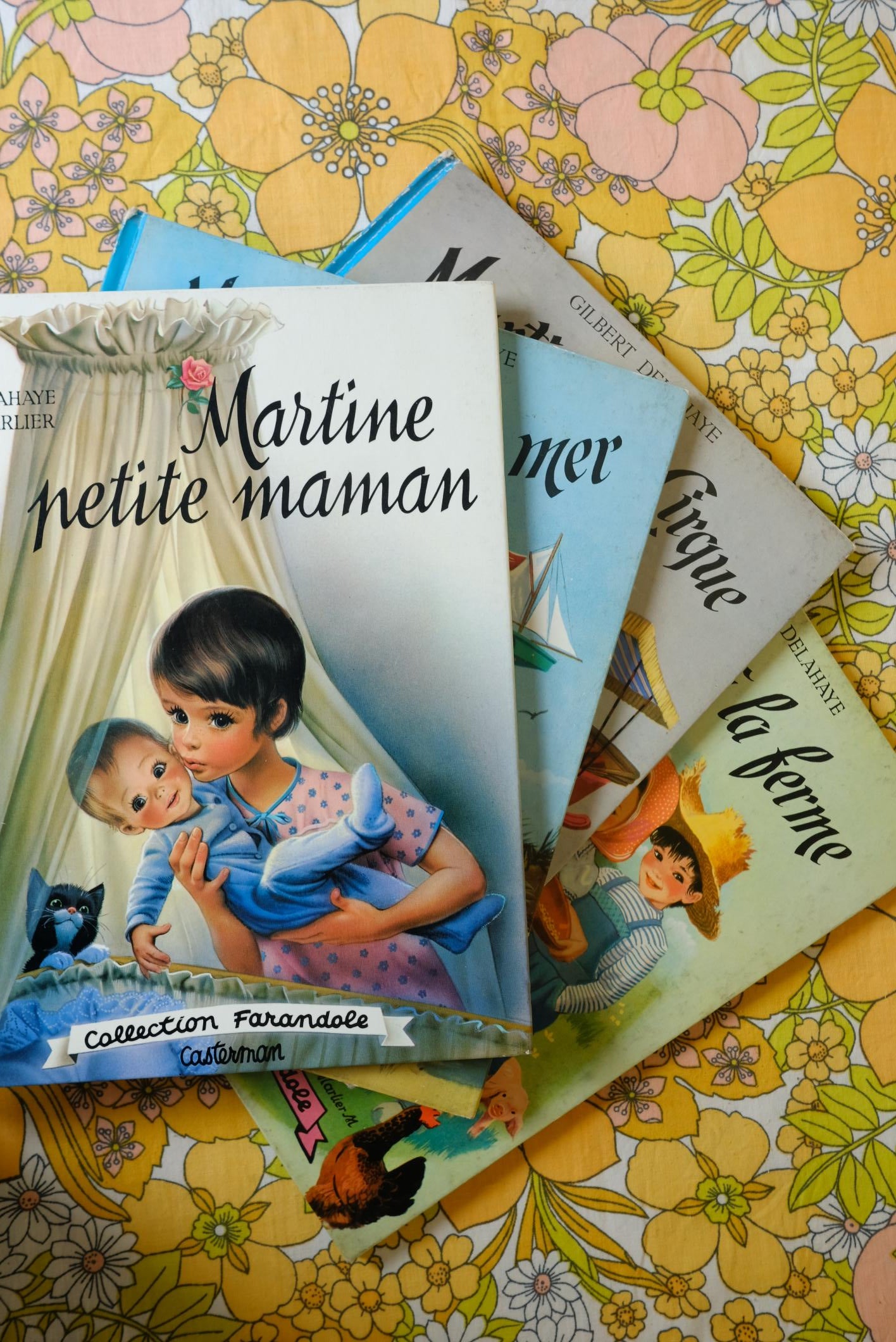 Livres martine collection farandole