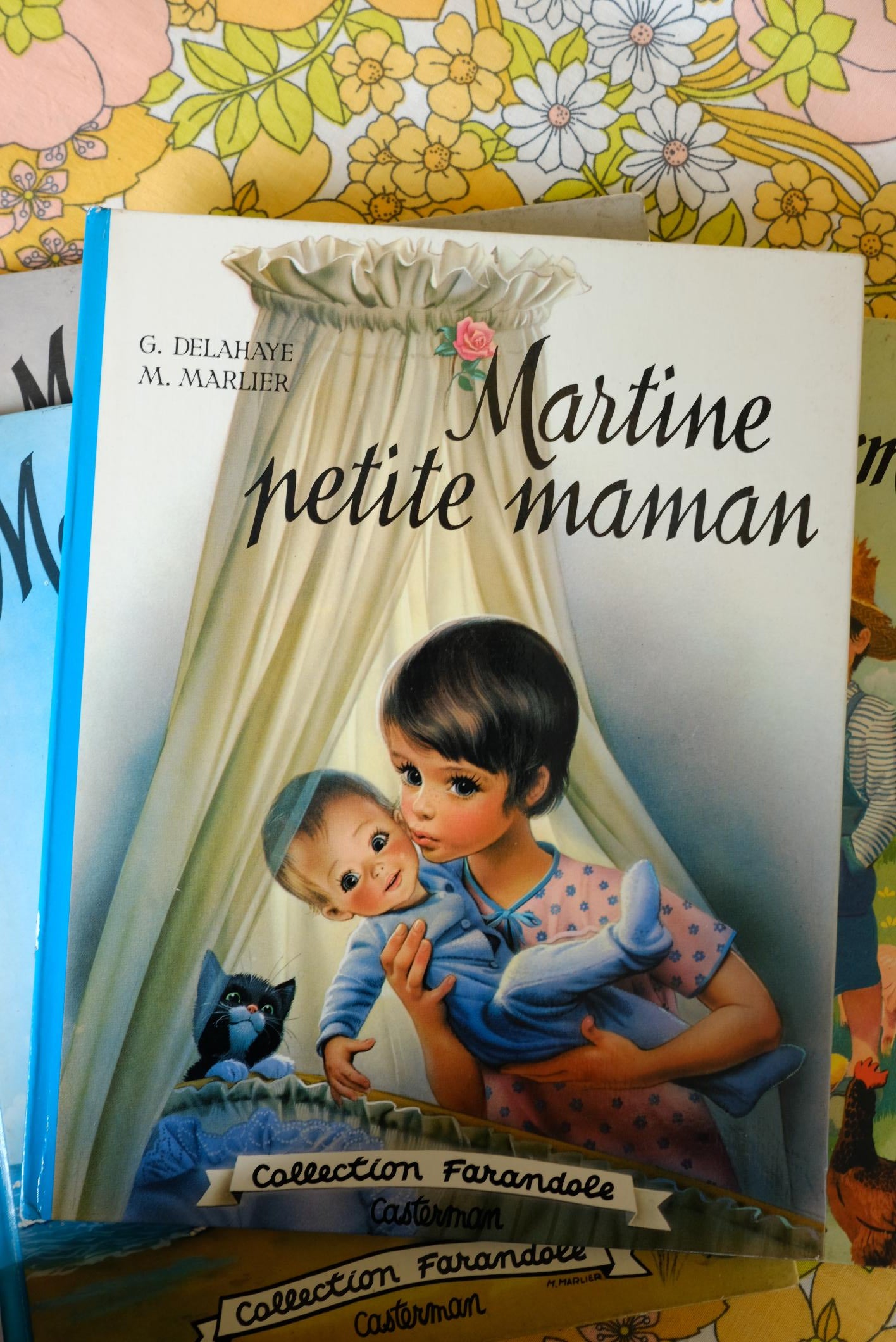 Livres martine collection farandole