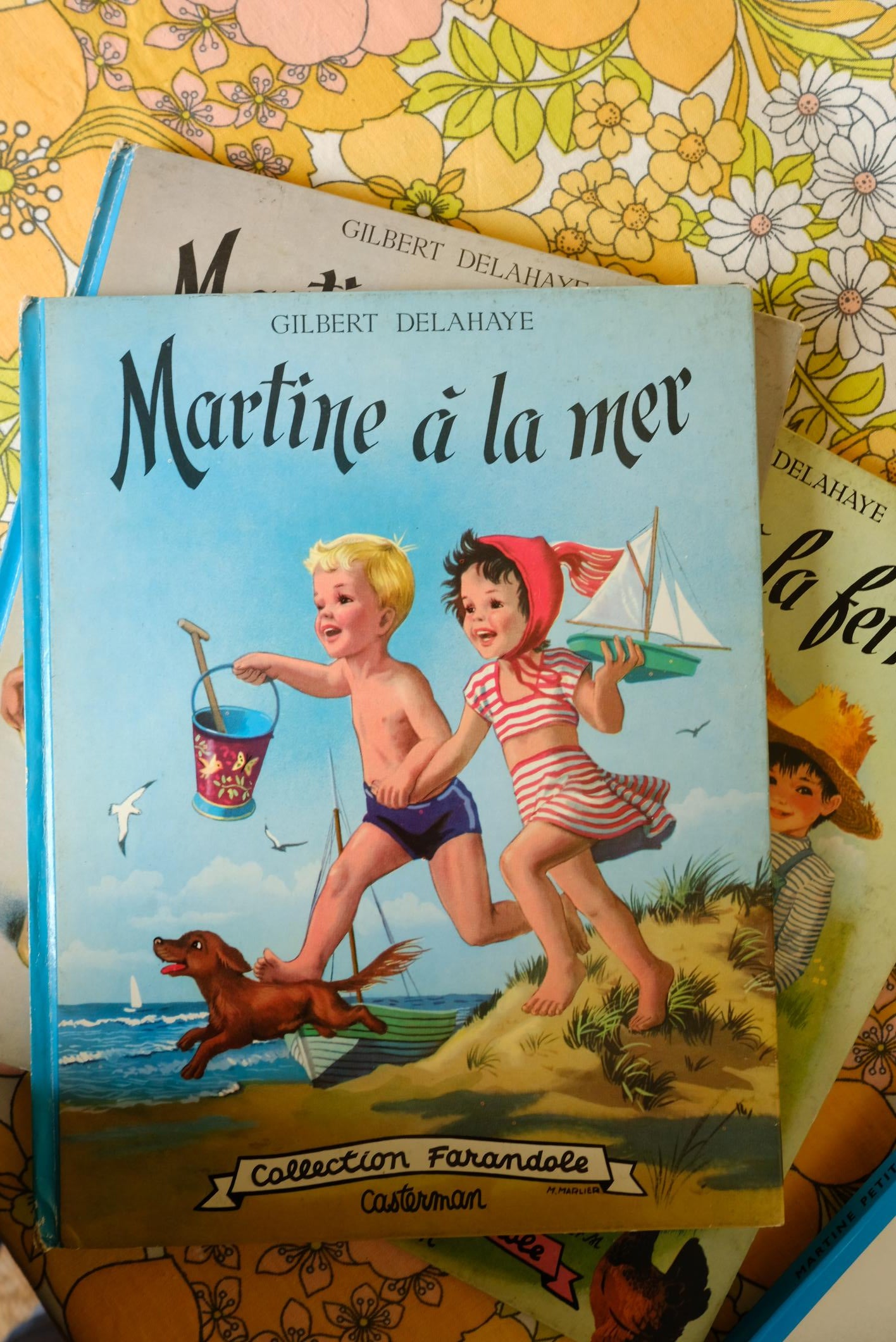 Livres martine collection farandole