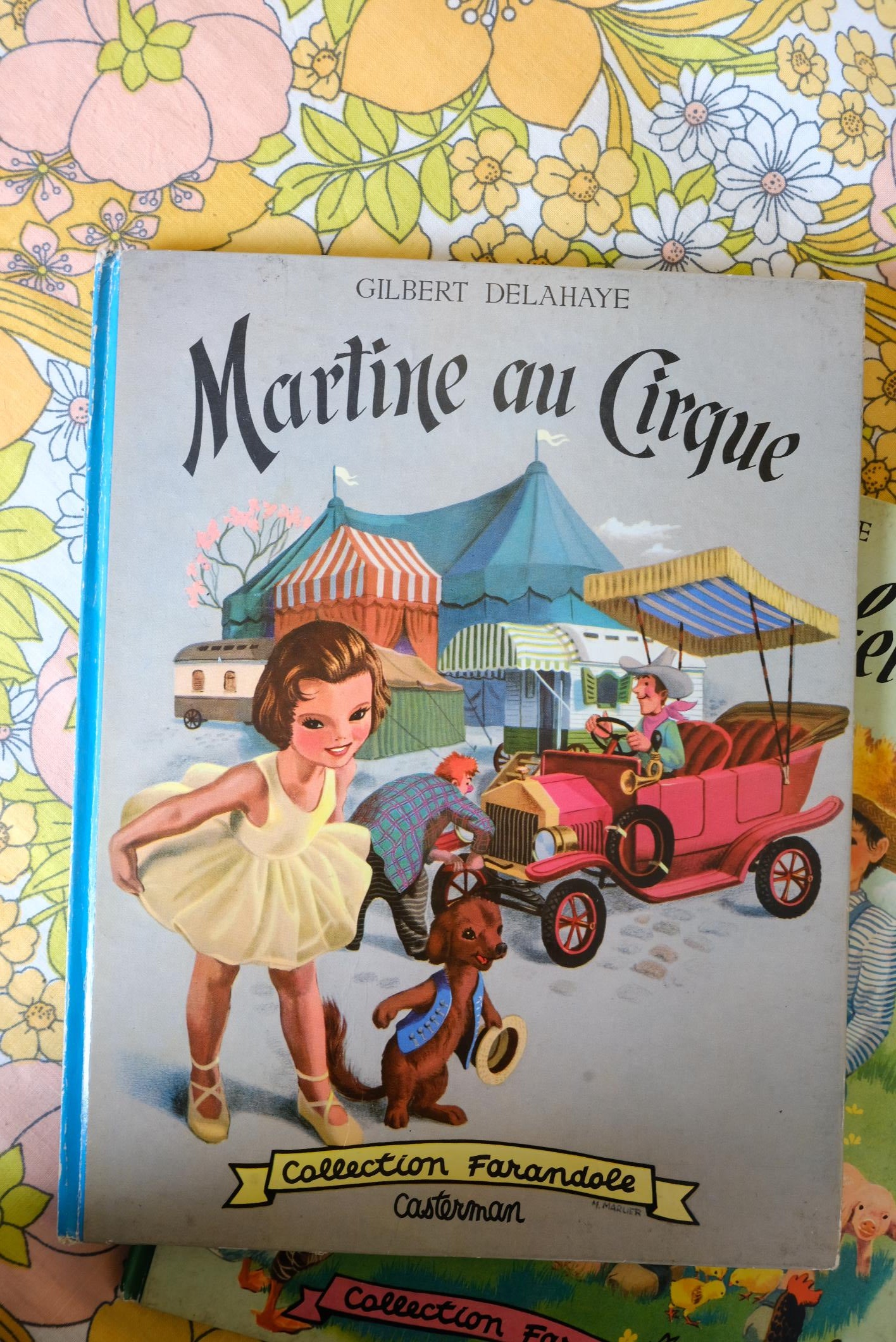 Livres martine collection farandole