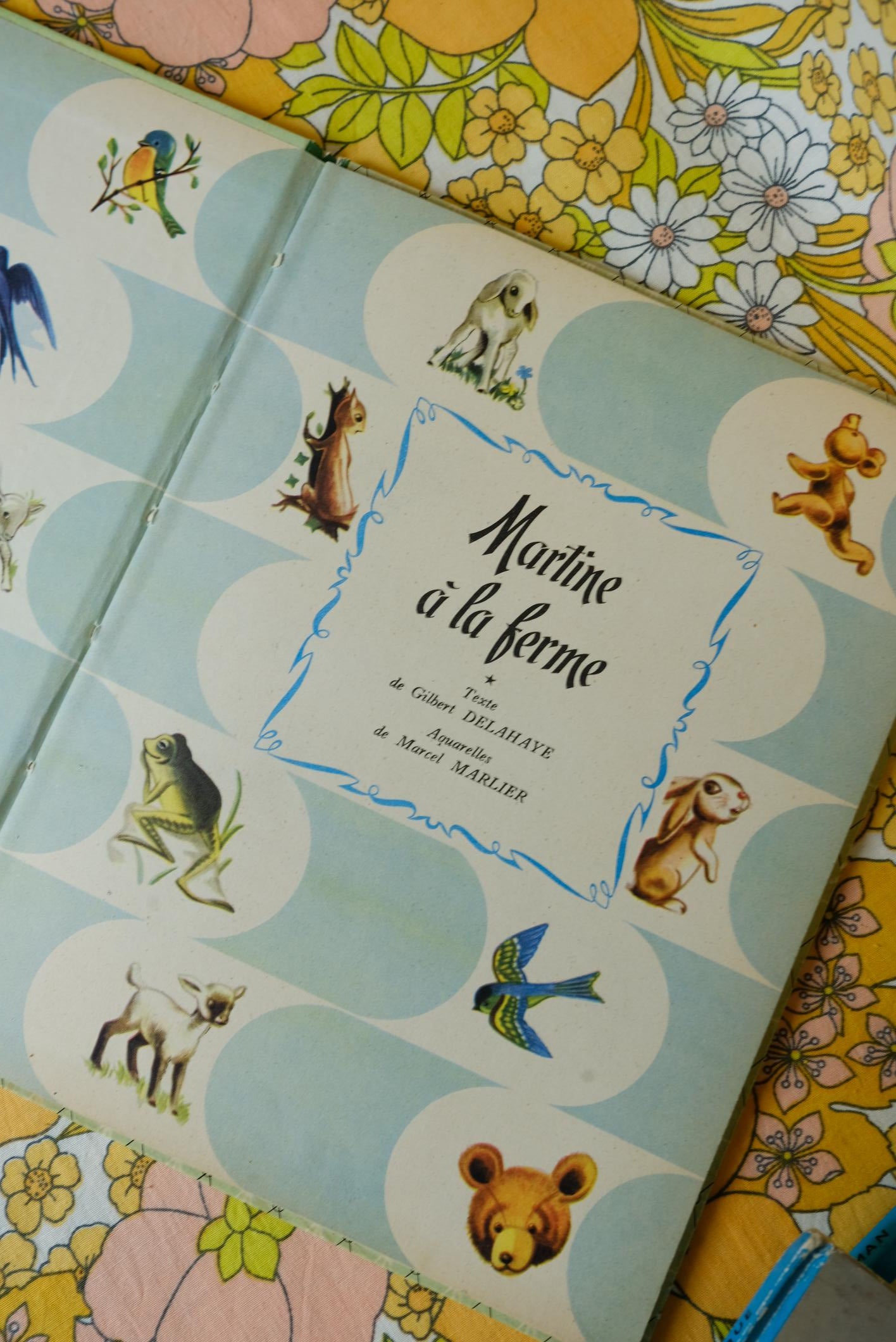 Livres martine collection farandole
