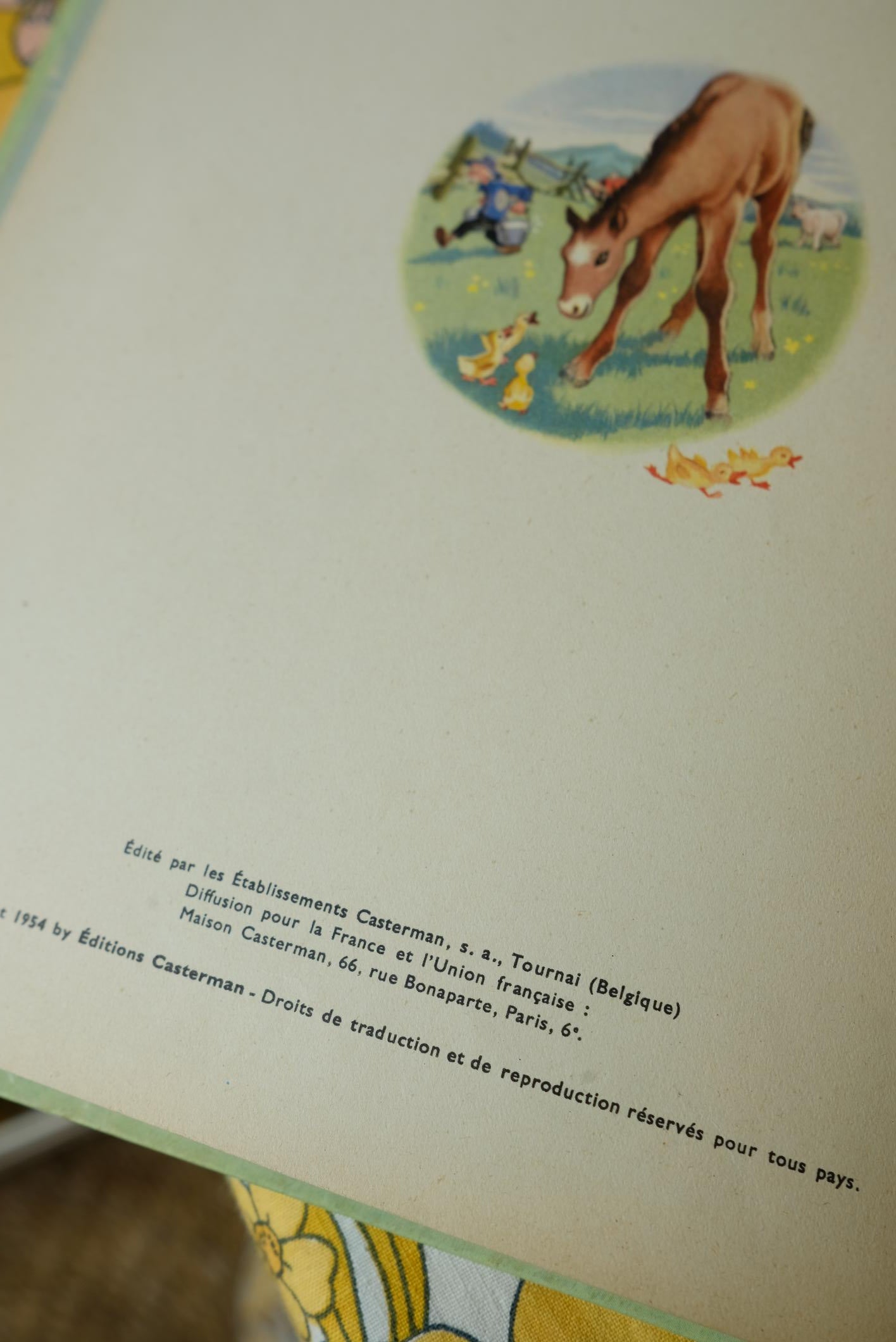 Livres martine collection farandole