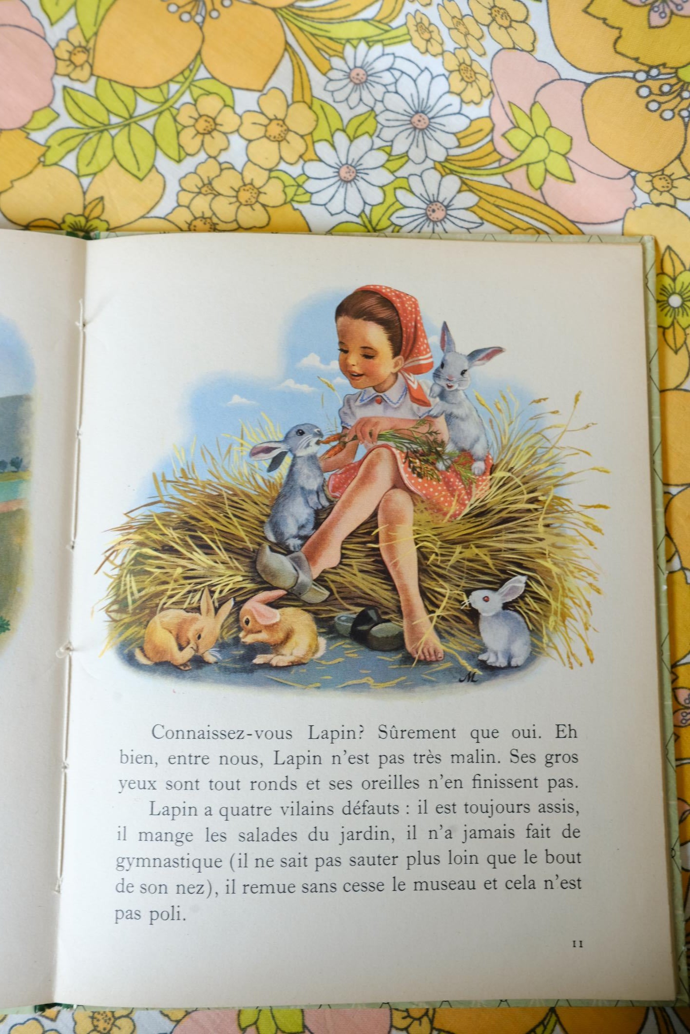 Livres martine collection farandole