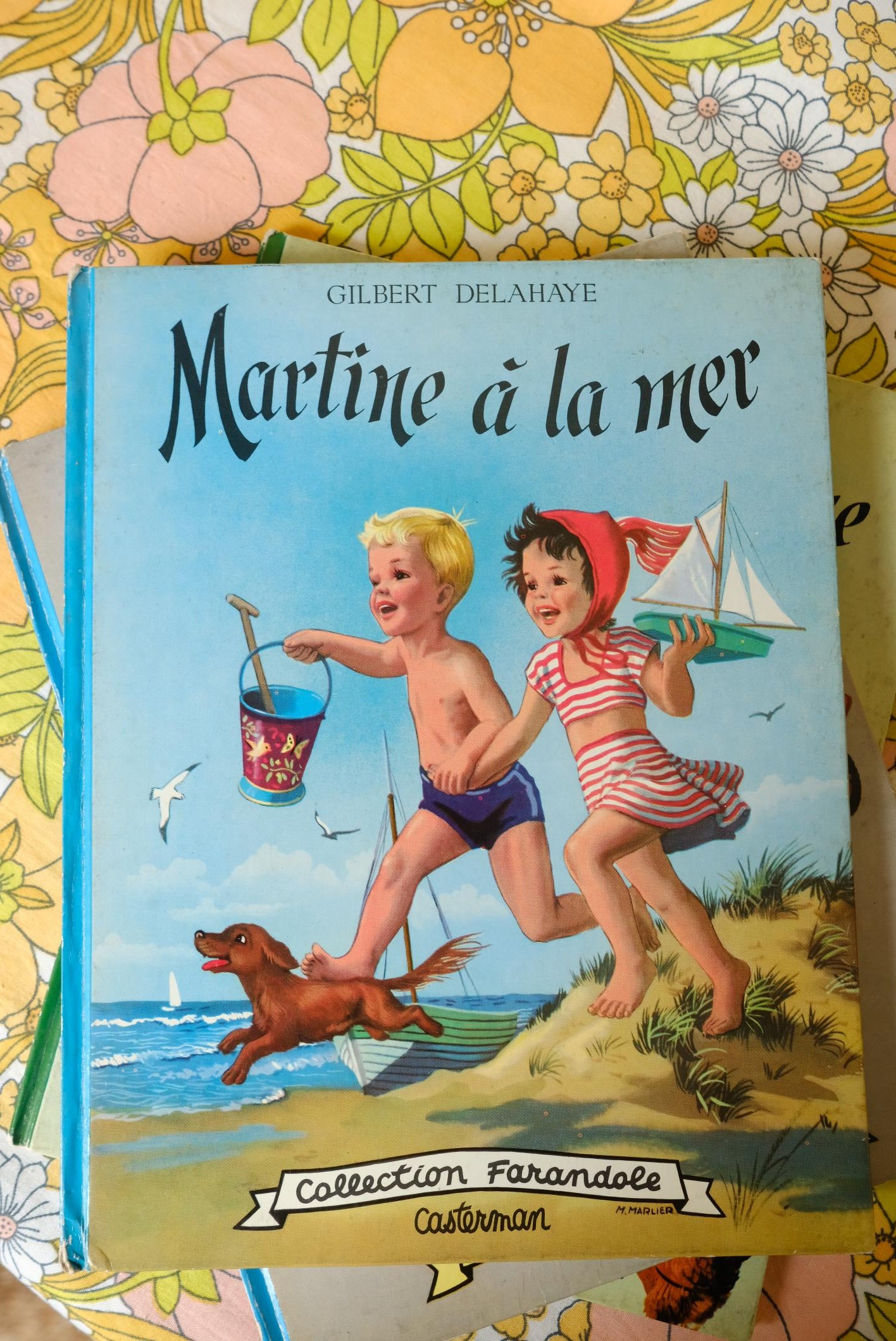 Livres martine collection farandole
