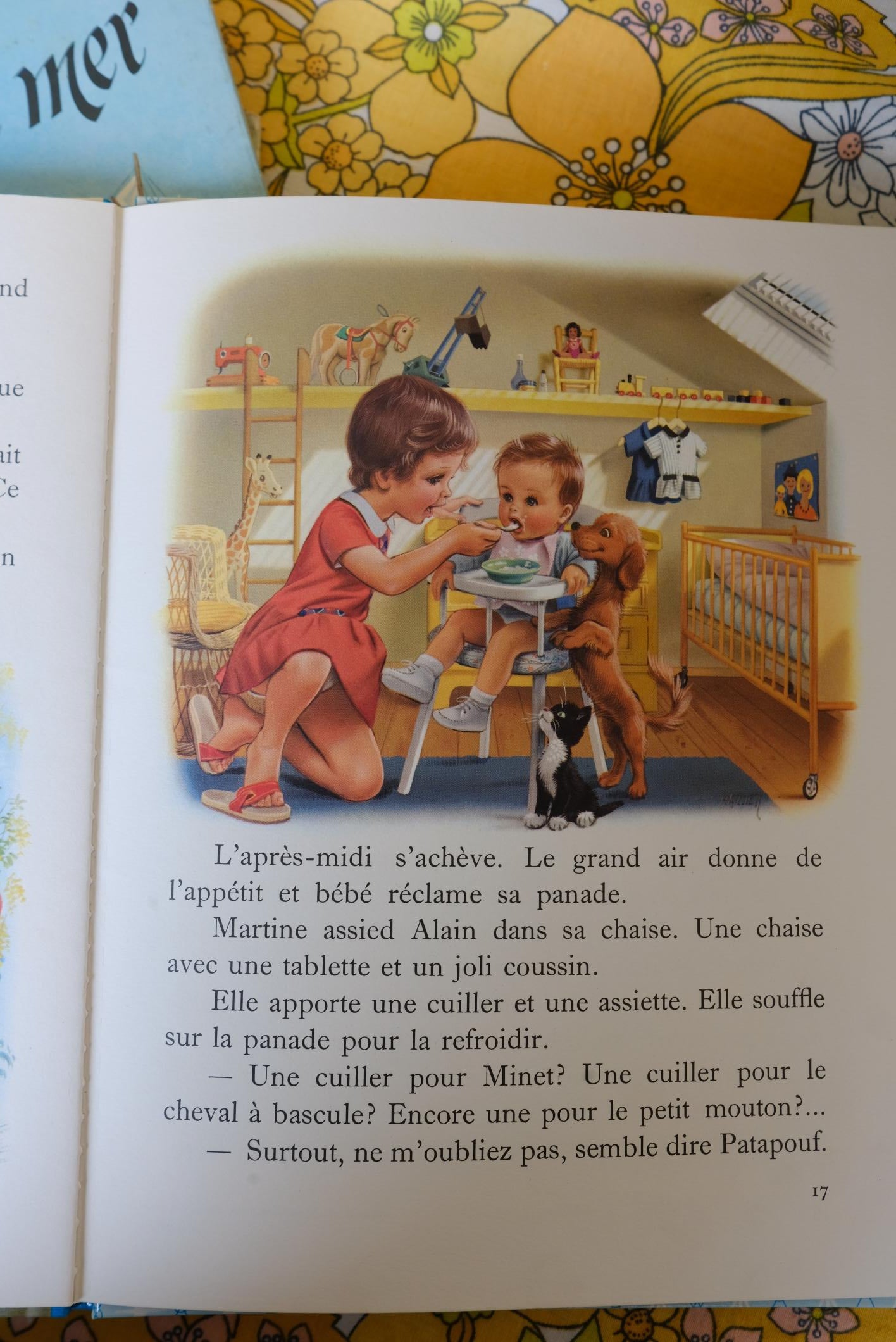Livres martine collection farandole