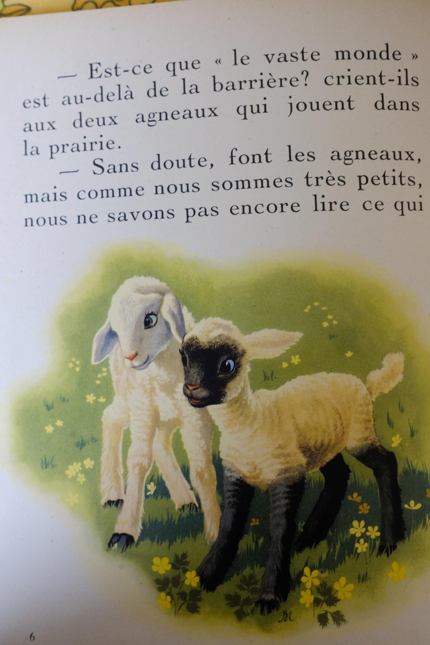 Deux lapins tout pareils, collection farandole