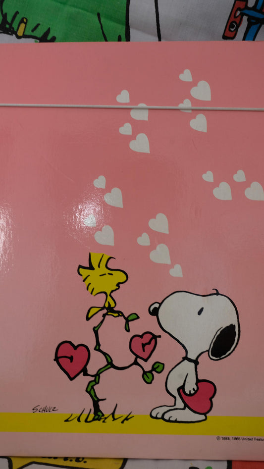 Carton à dessin vintage rose
