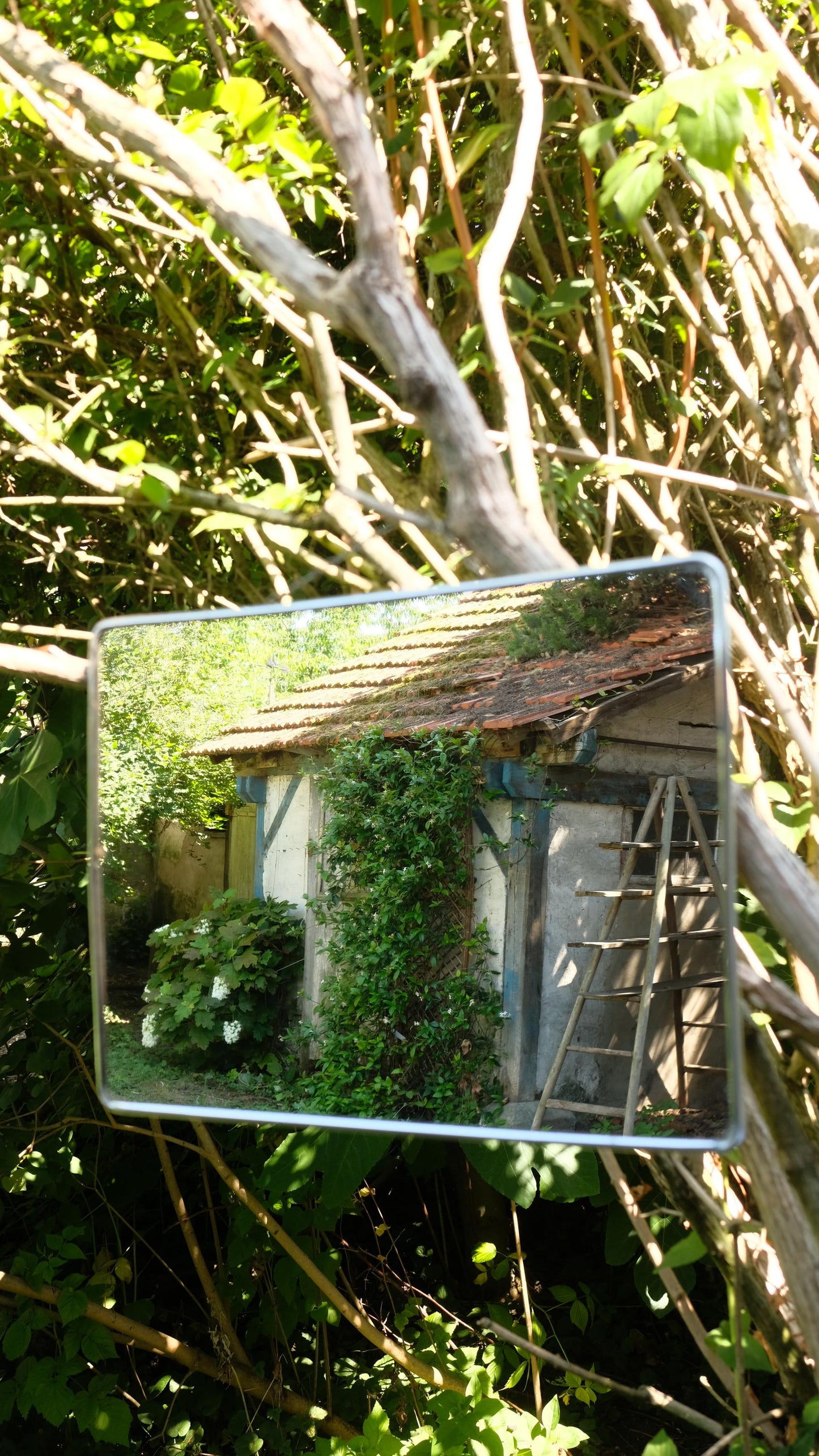 Gand miroir de barbier