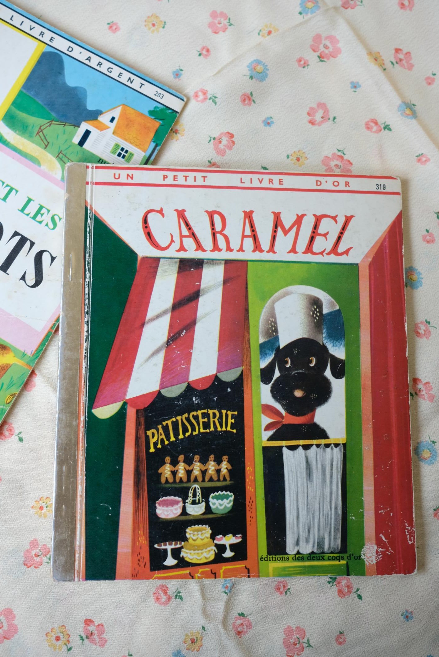 Sélection de petits livres