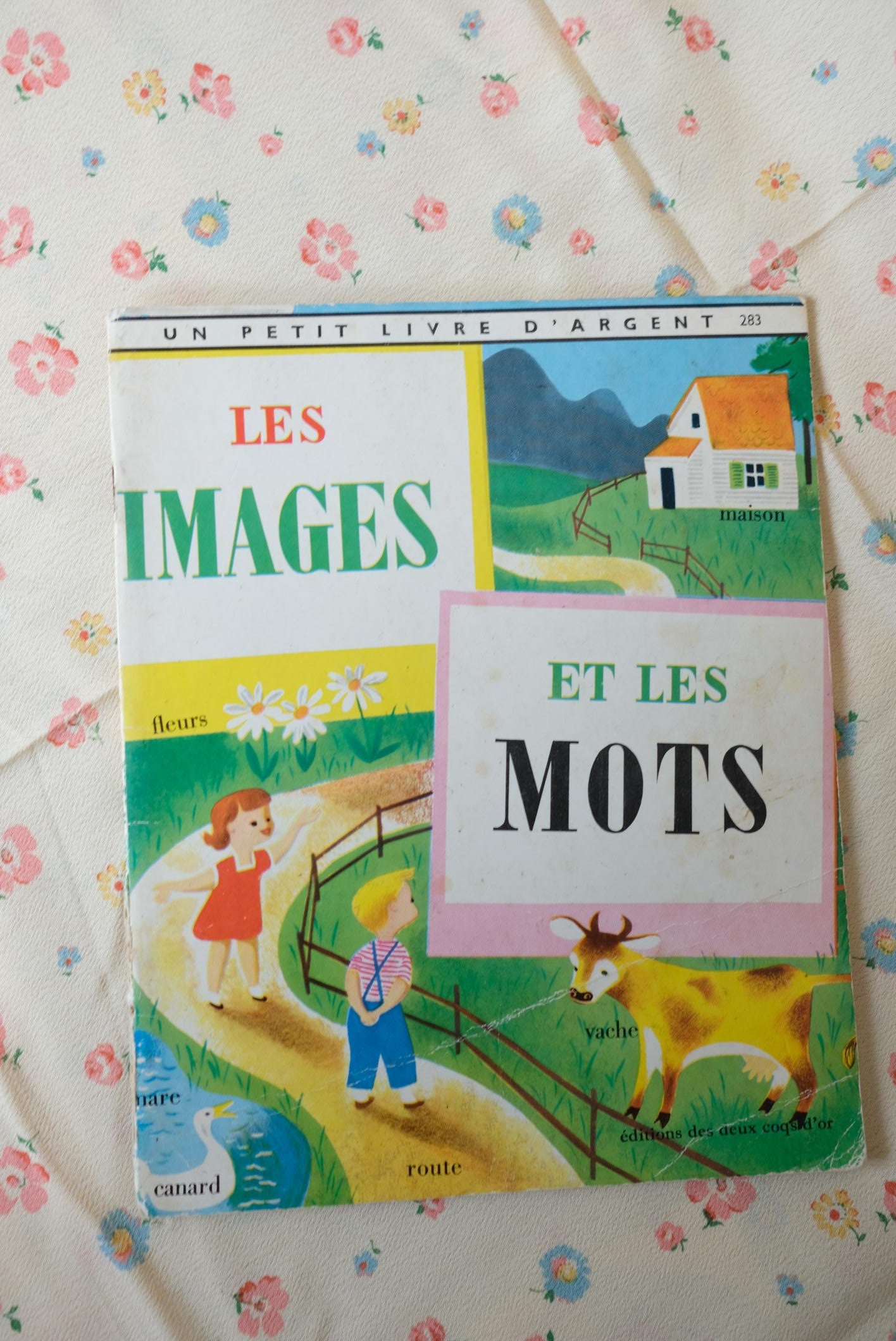 Sélection de petits livres
