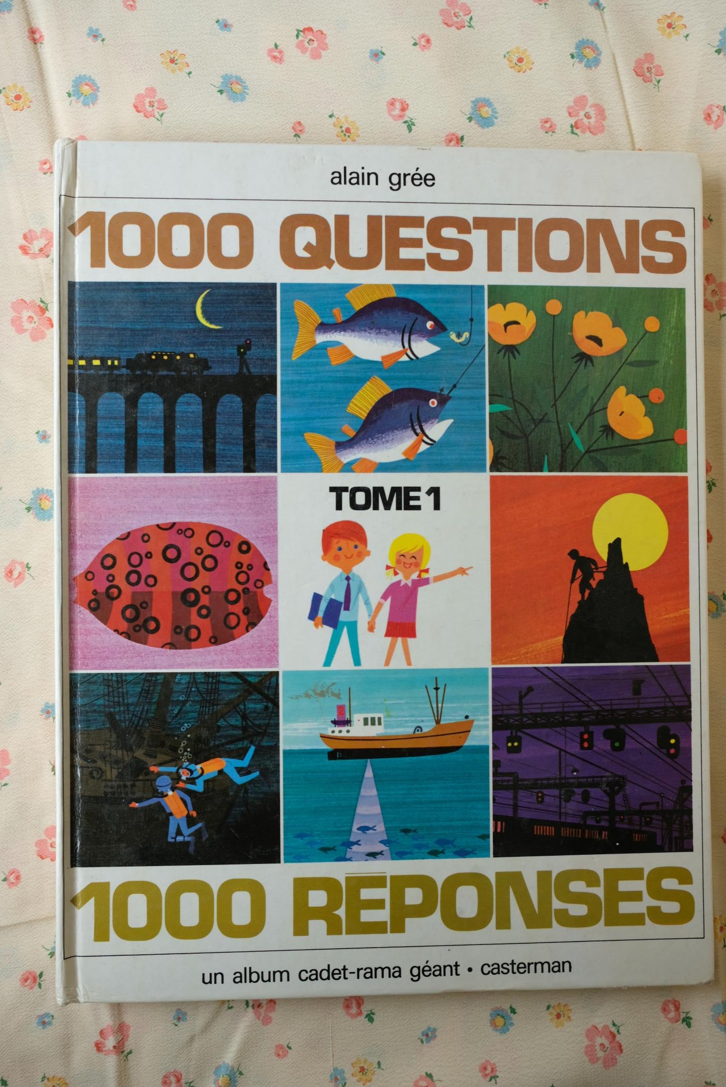 Livres illustrés par Alain Grée