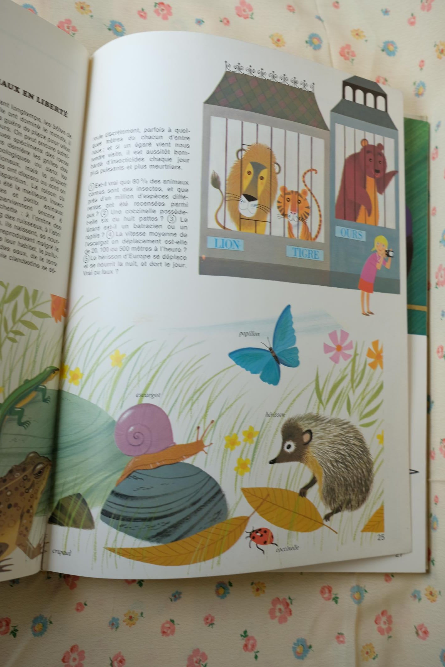 Livres illustrés par Alain Grée