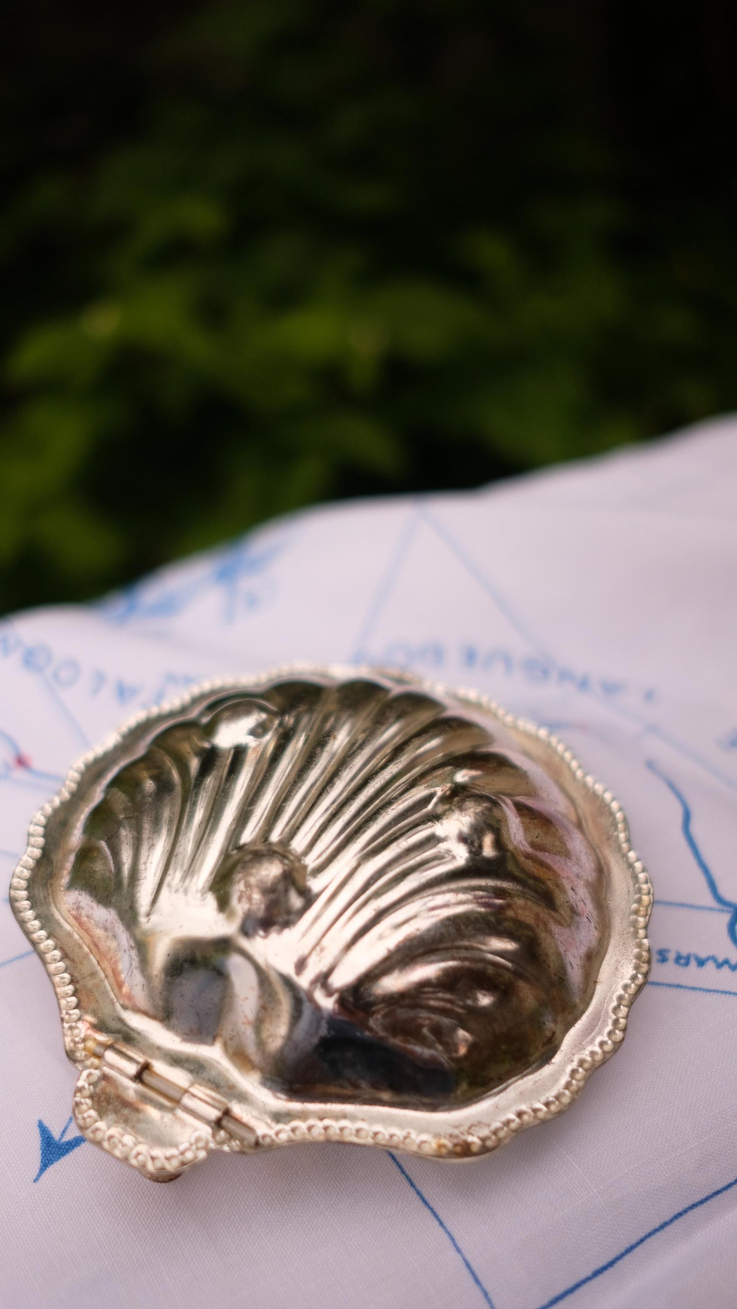 Beurrier coquillage vintage