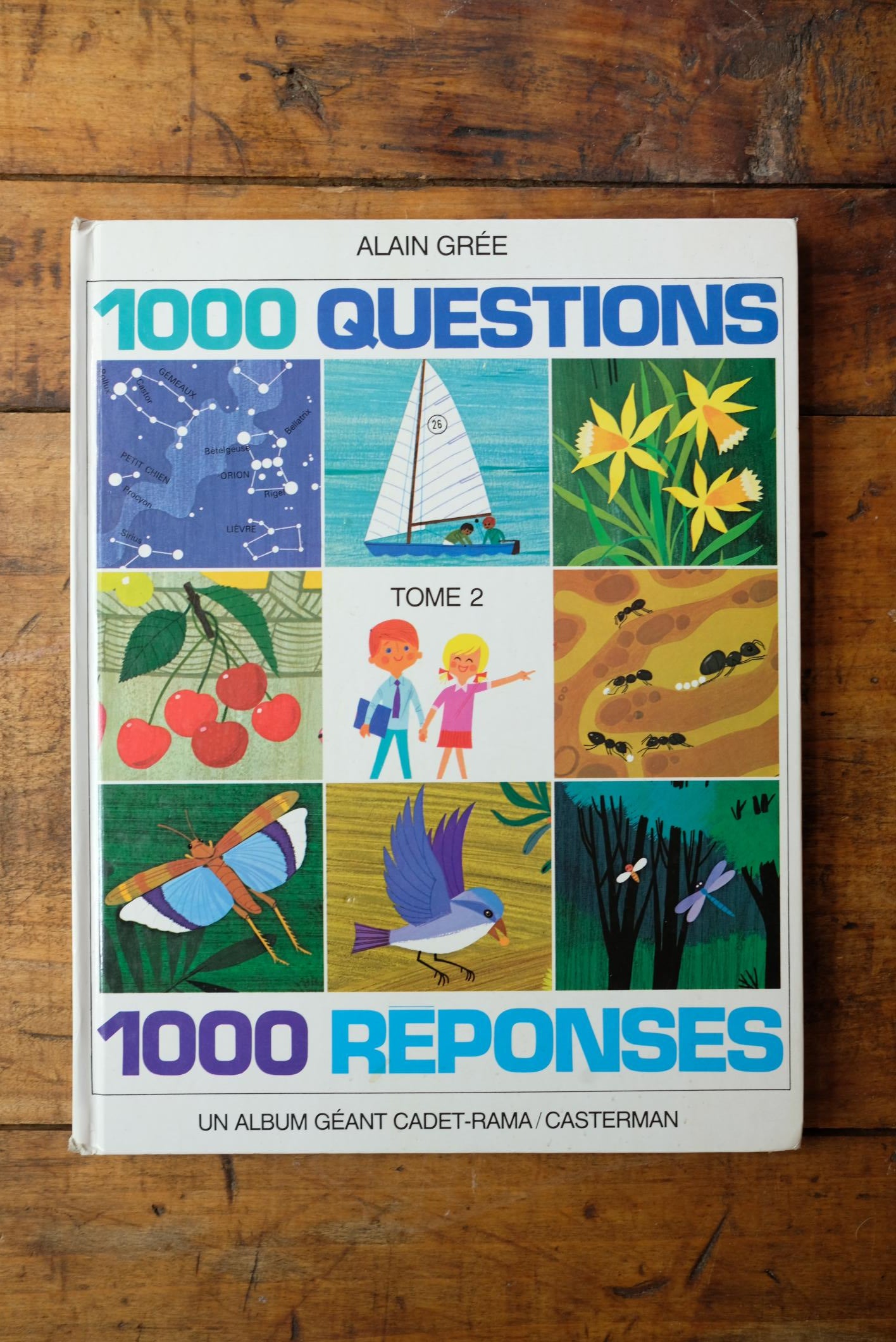 Livres illustrés par Alain Grée