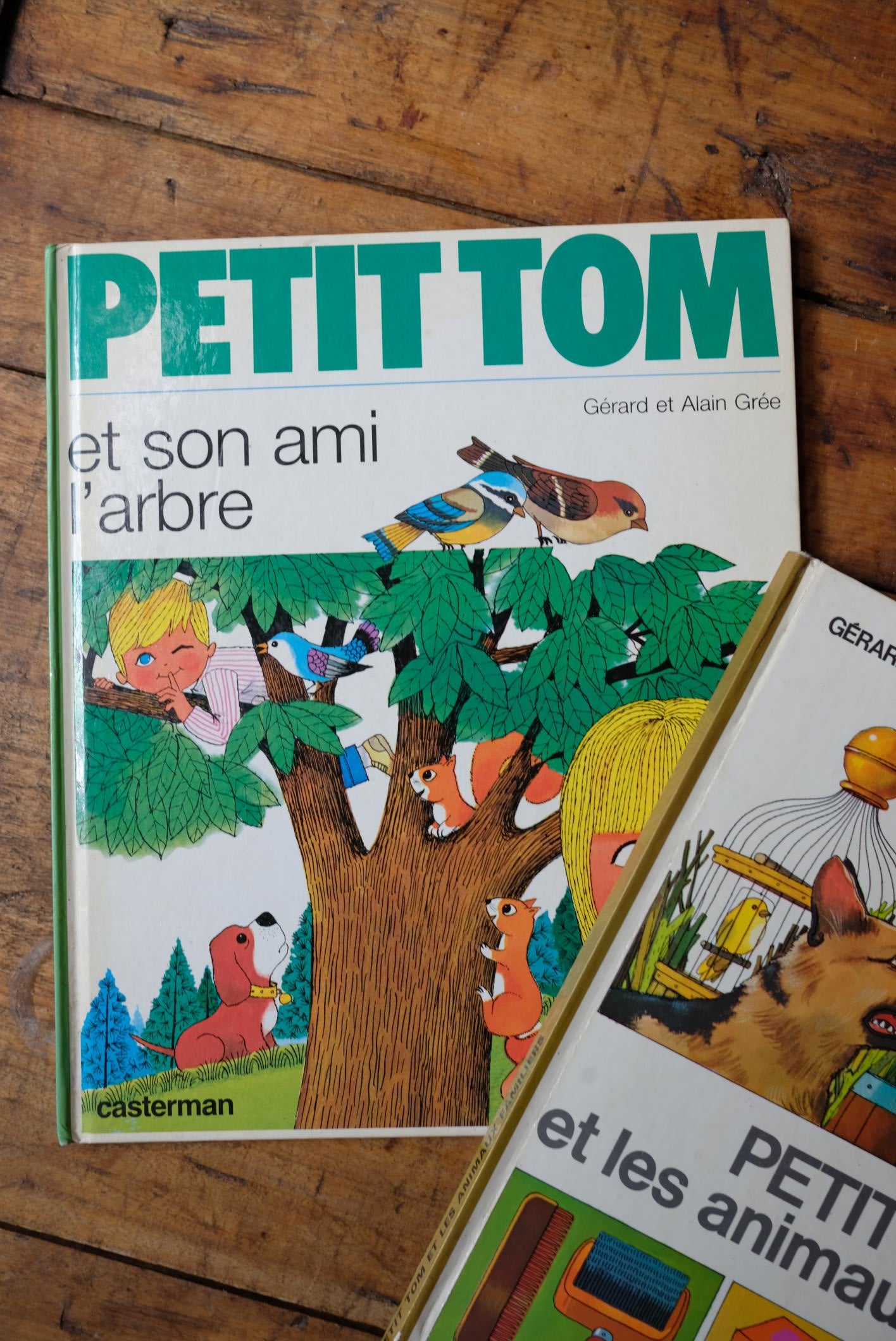 Livres petit tom