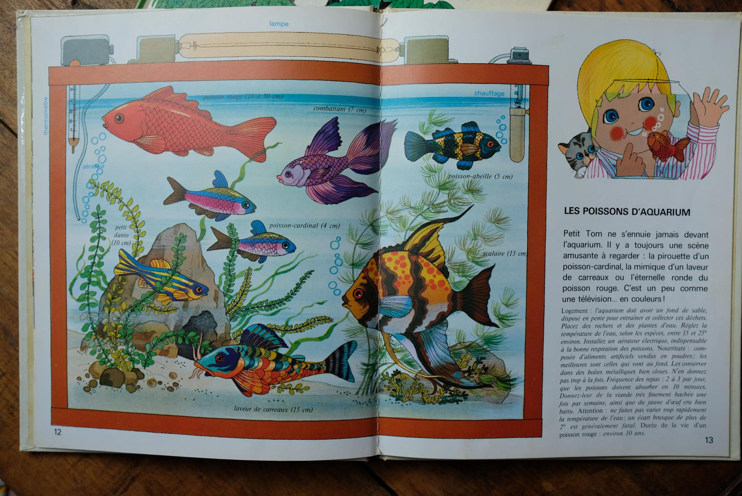Livres petit tom