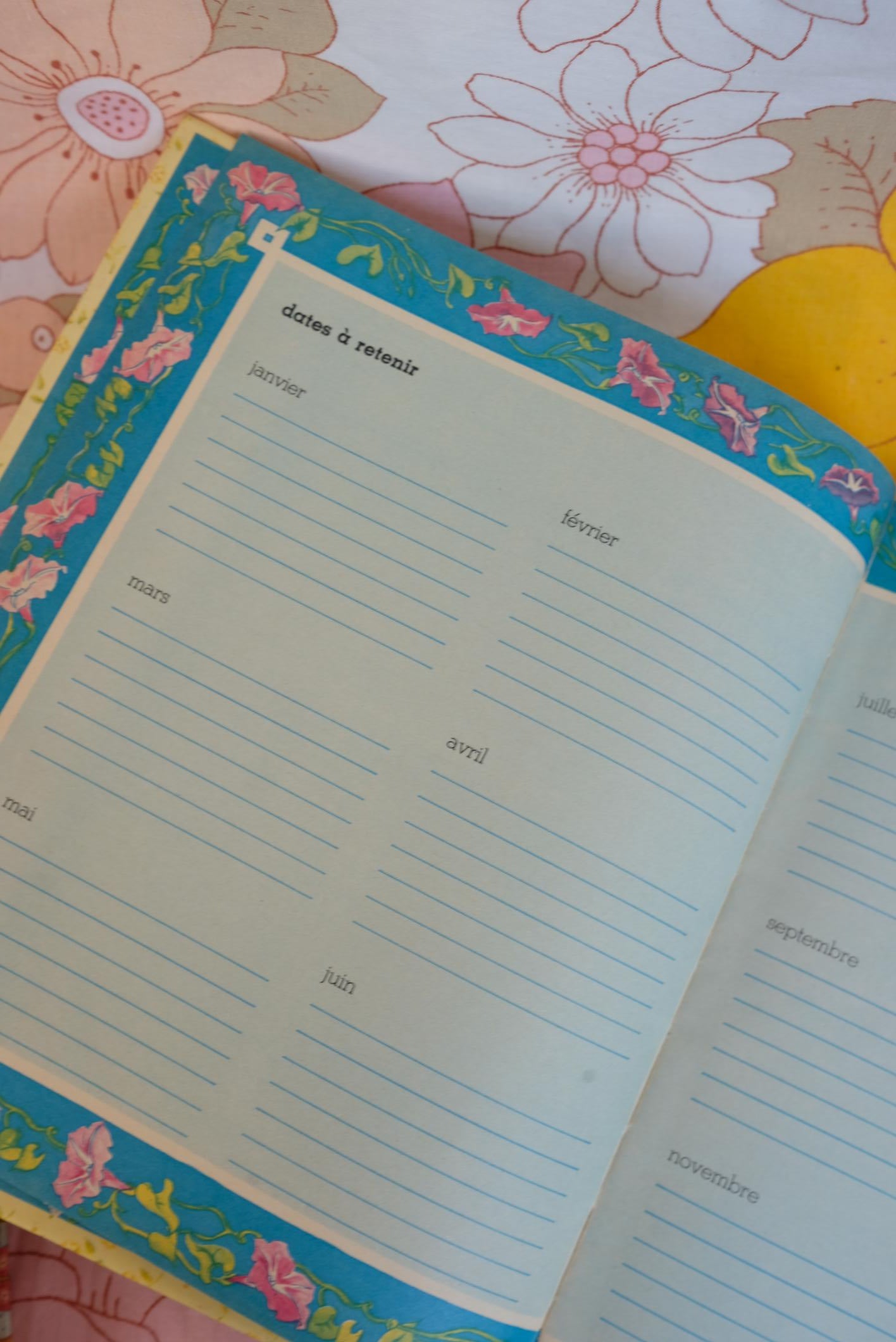 Agenda perpétuel Holly Hobbie