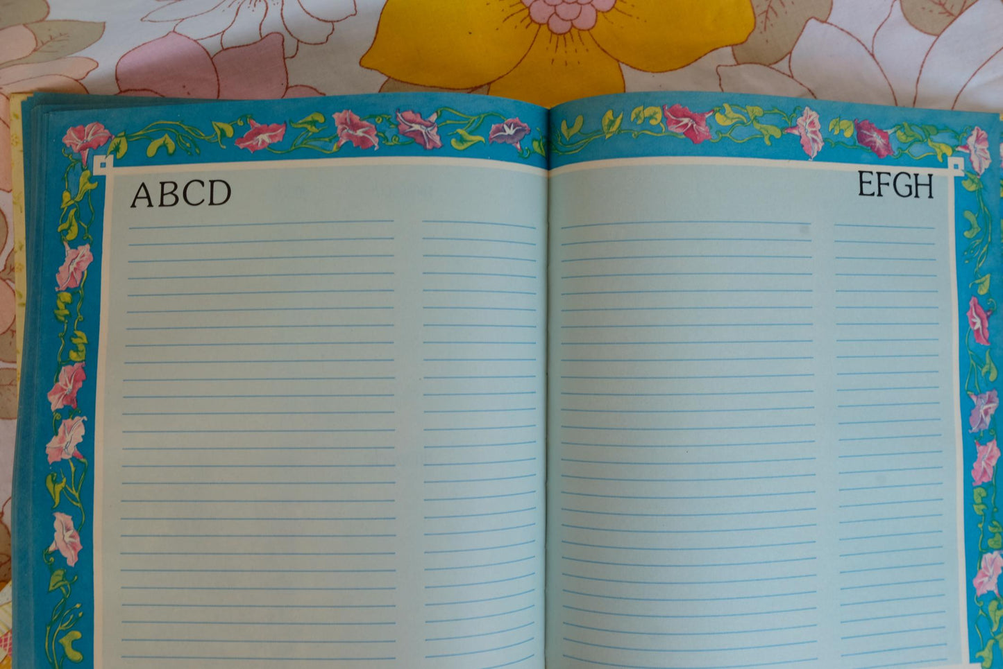 Agenda perpétuel Holly Hobbie