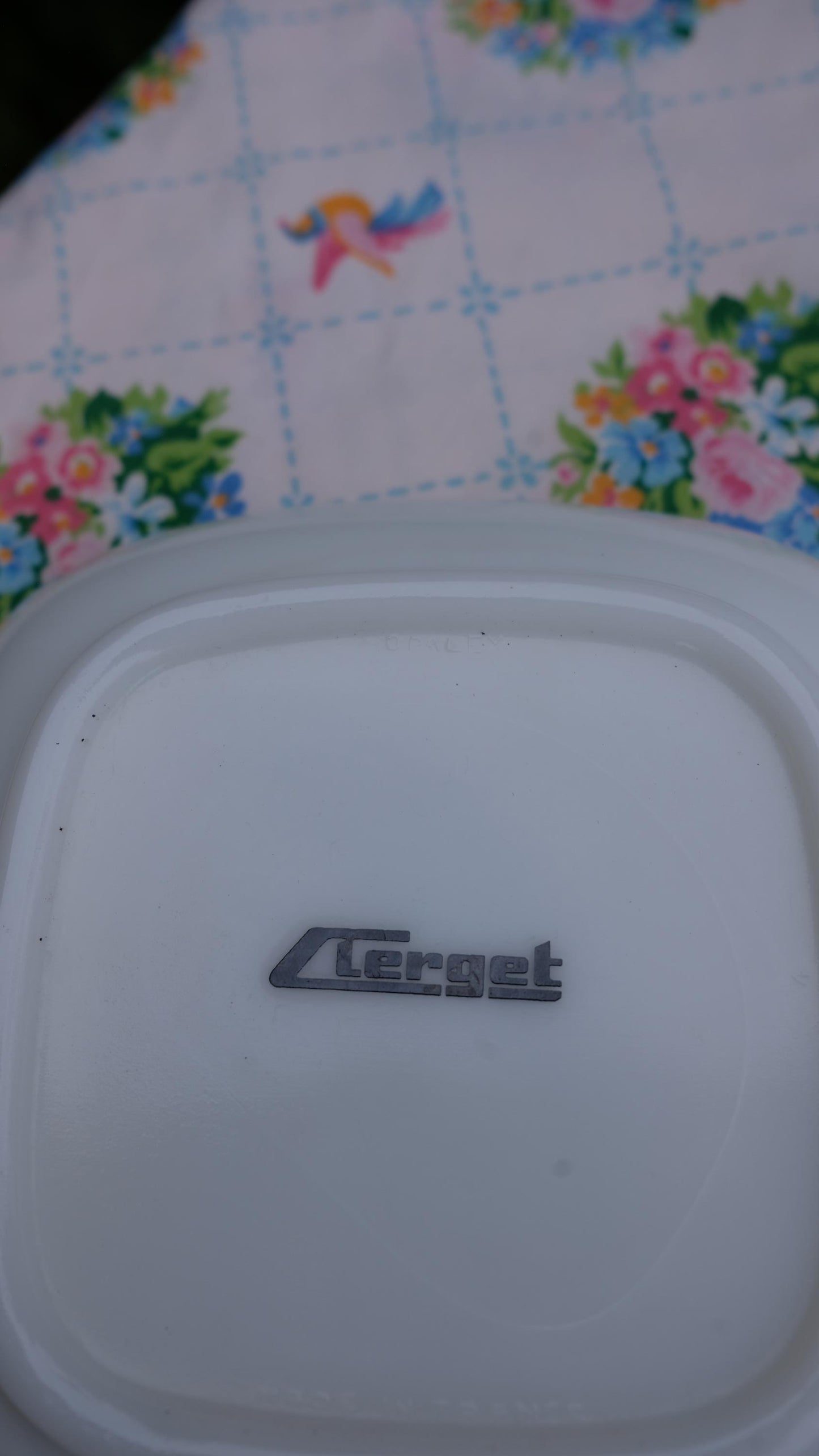 Cendrier/vide poche vintage en opalex motif perroquet