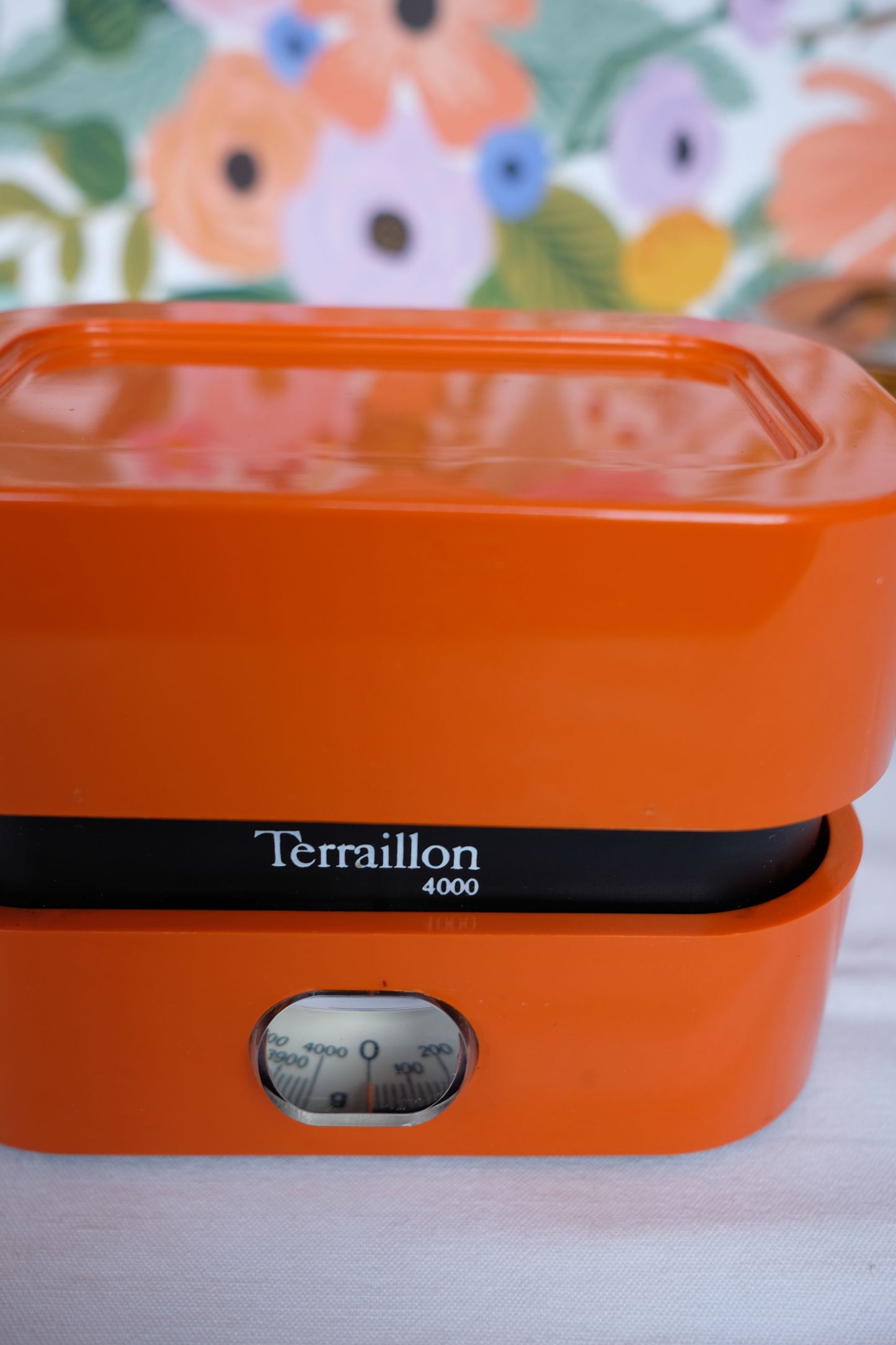 Balances Terraillon