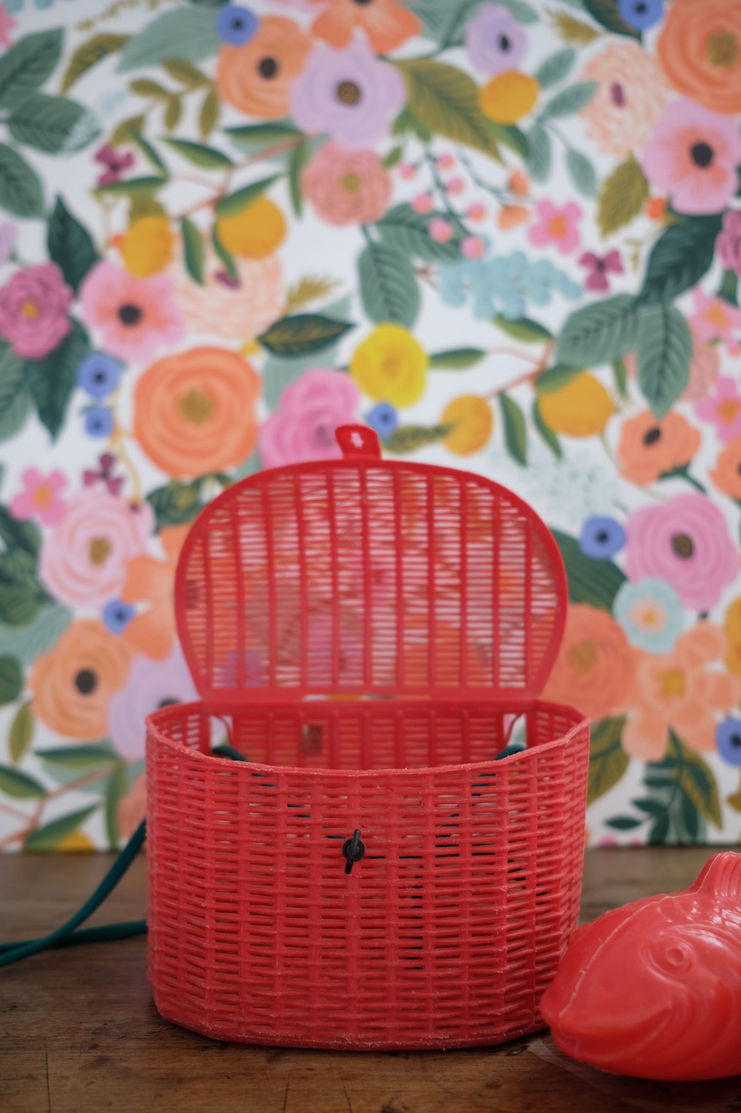 Panier de pêcheur en plastique