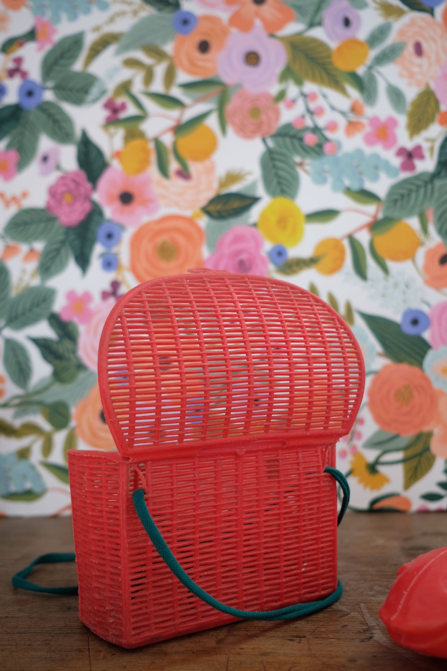 Panier de pêcheur en plastique