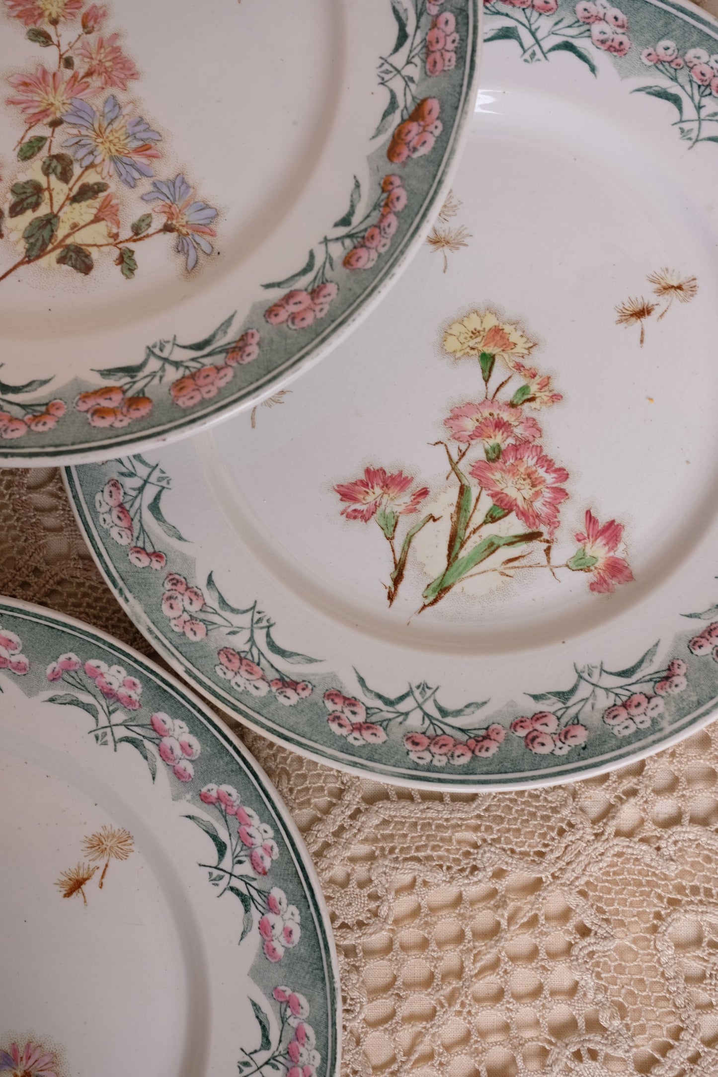 Assiettes terre de fer, motif René
