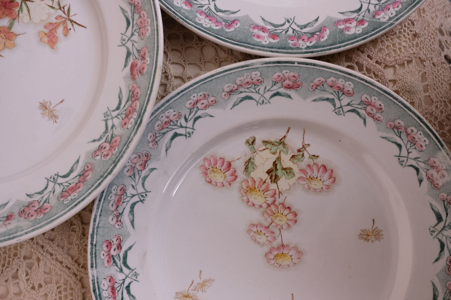 Assiettes terre de fer, motif René