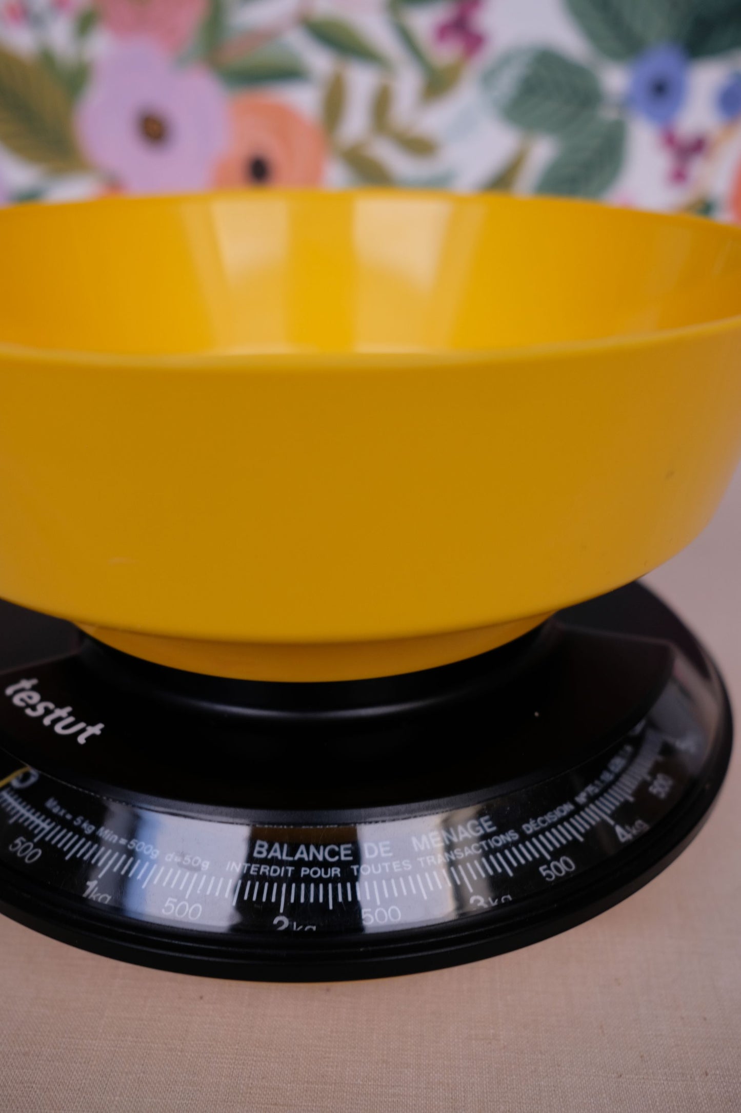 Balance testud