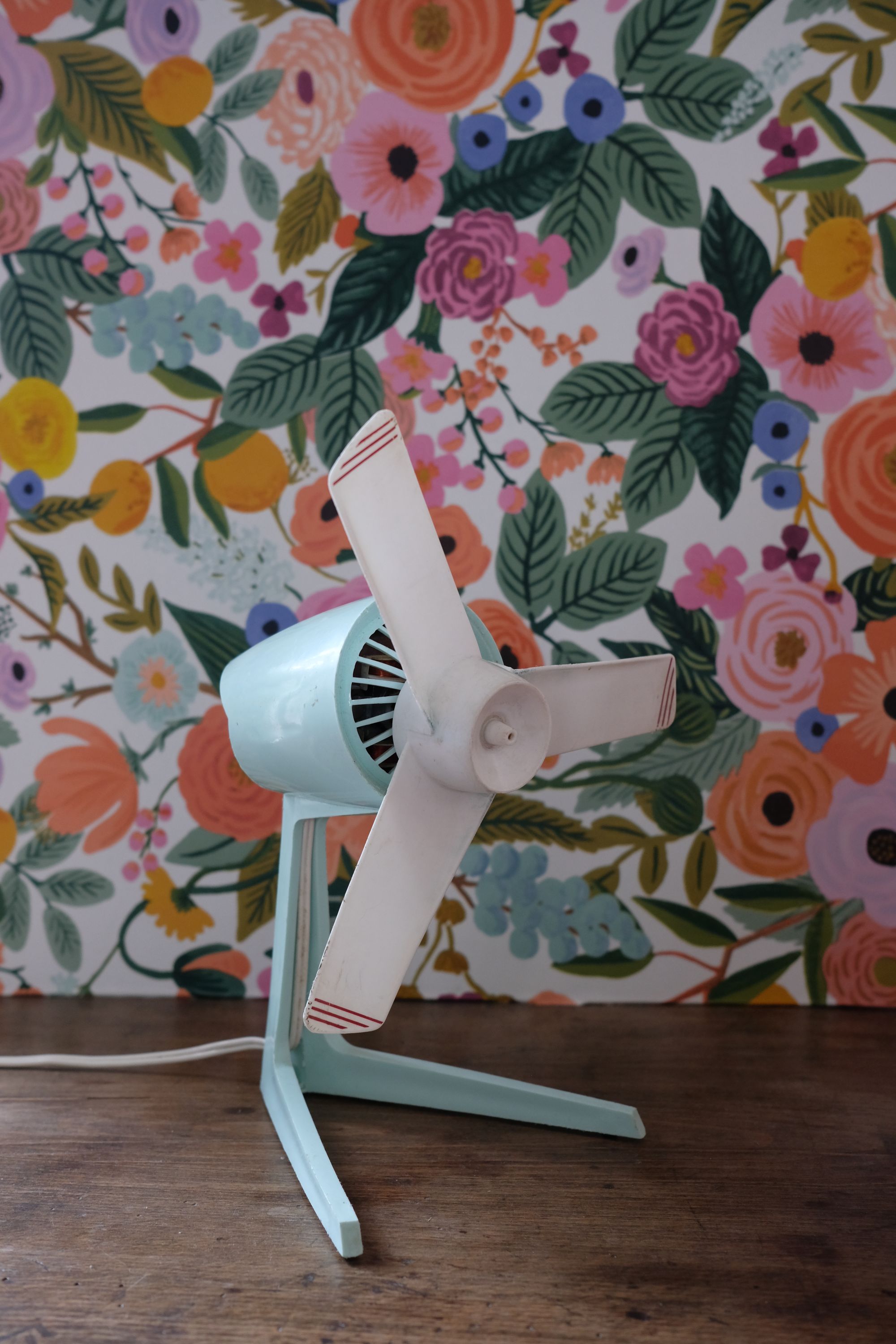 Ventilateur Calor Pupuces Boutique — free download