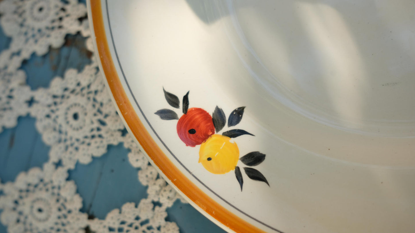 Lot de 8 assiettes plates vintage moulin des loups terre de fer