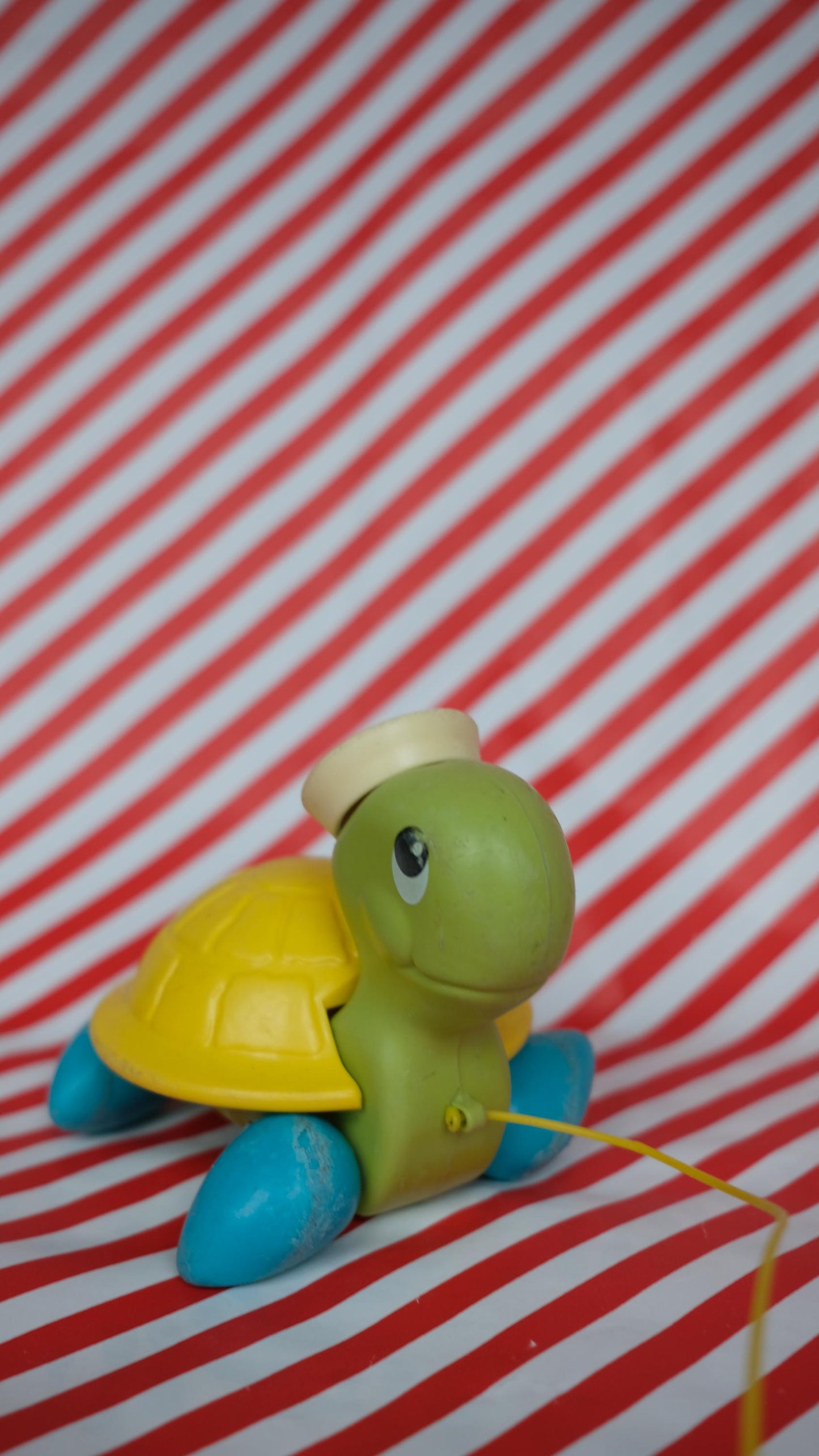 Tortues roulantes fisher price